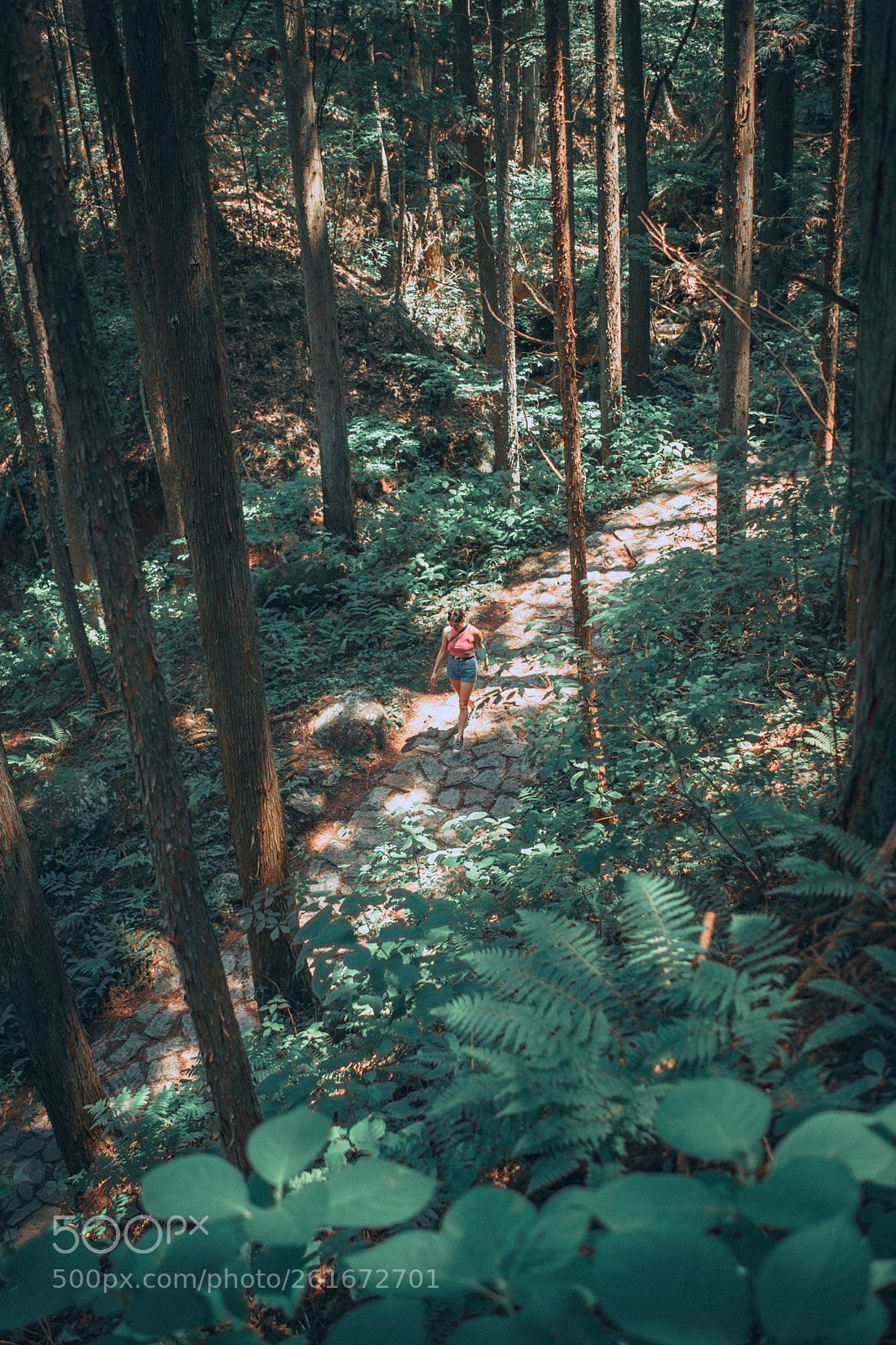 Sony a7 II sample photo. Magome-tsumago trail in the photography