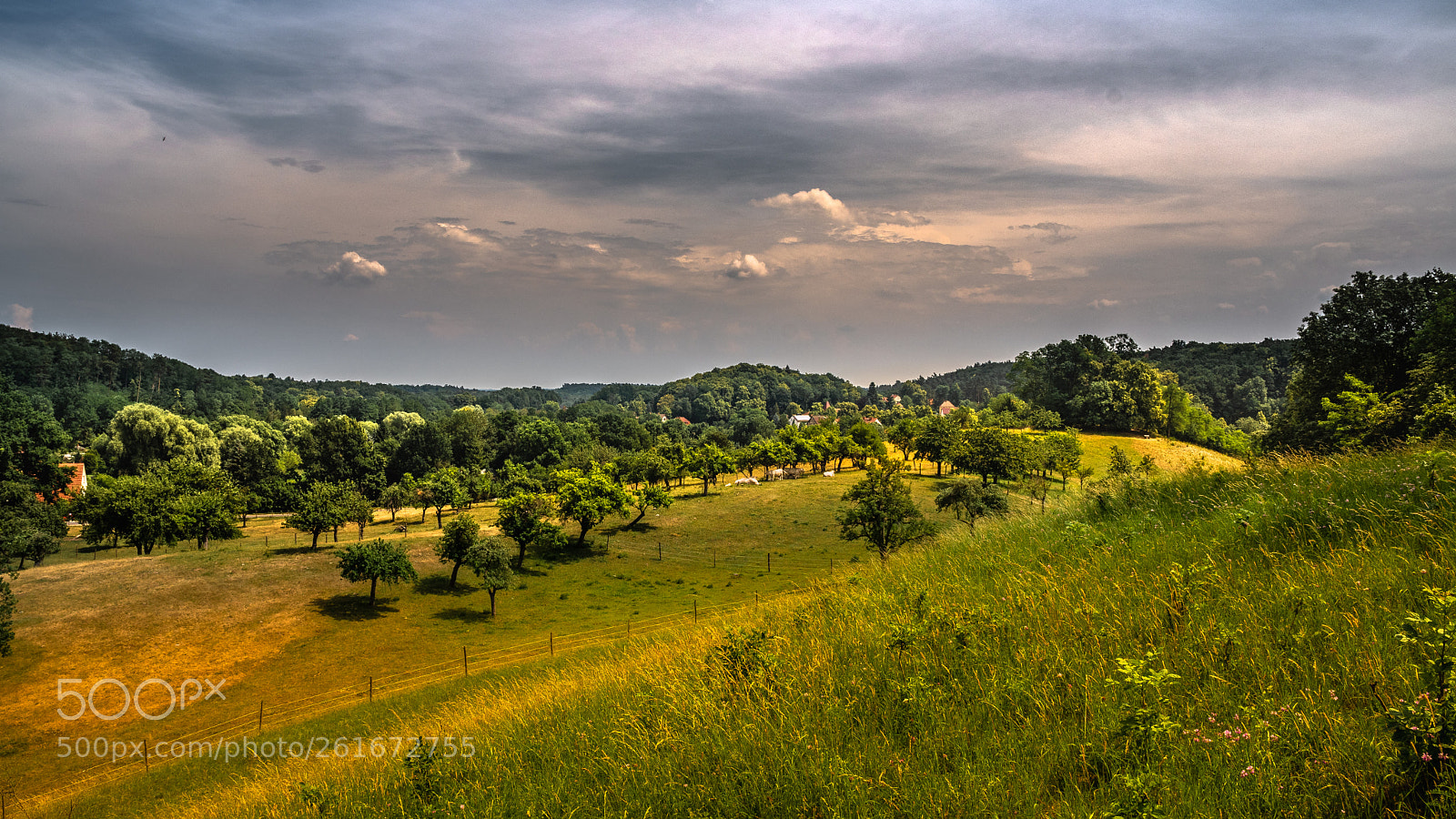 Nikon D7500 sample photo. Märkische schweiz photography