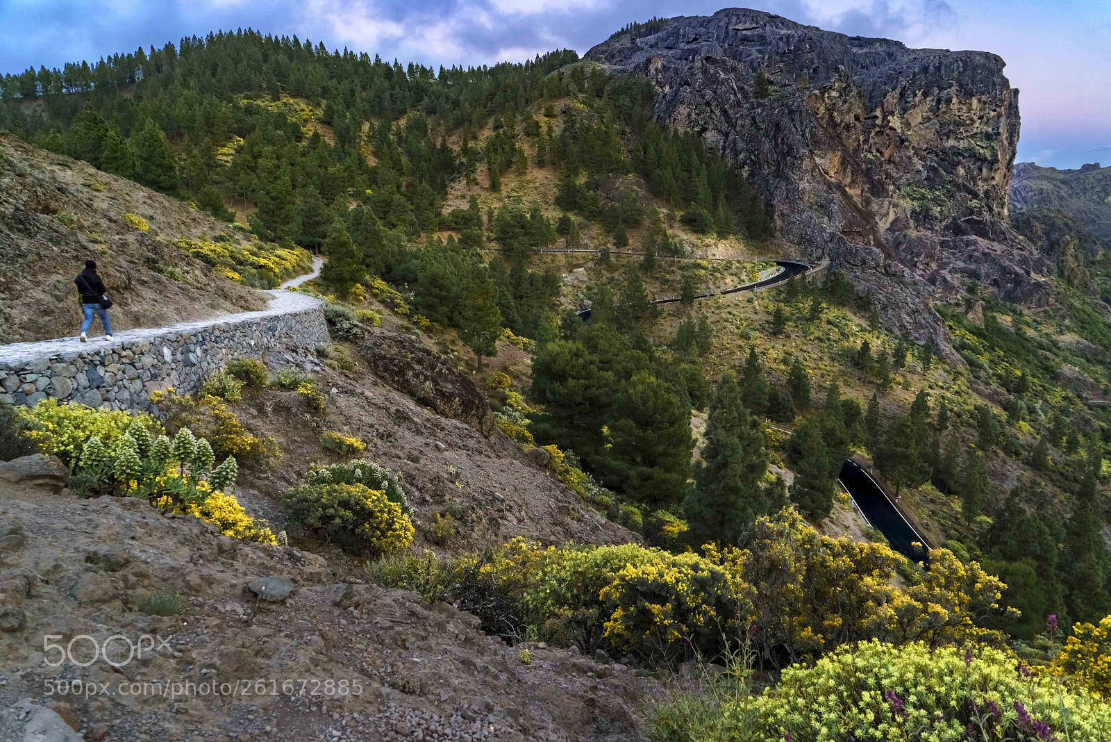 Sony a7R sample photo. Roads photography