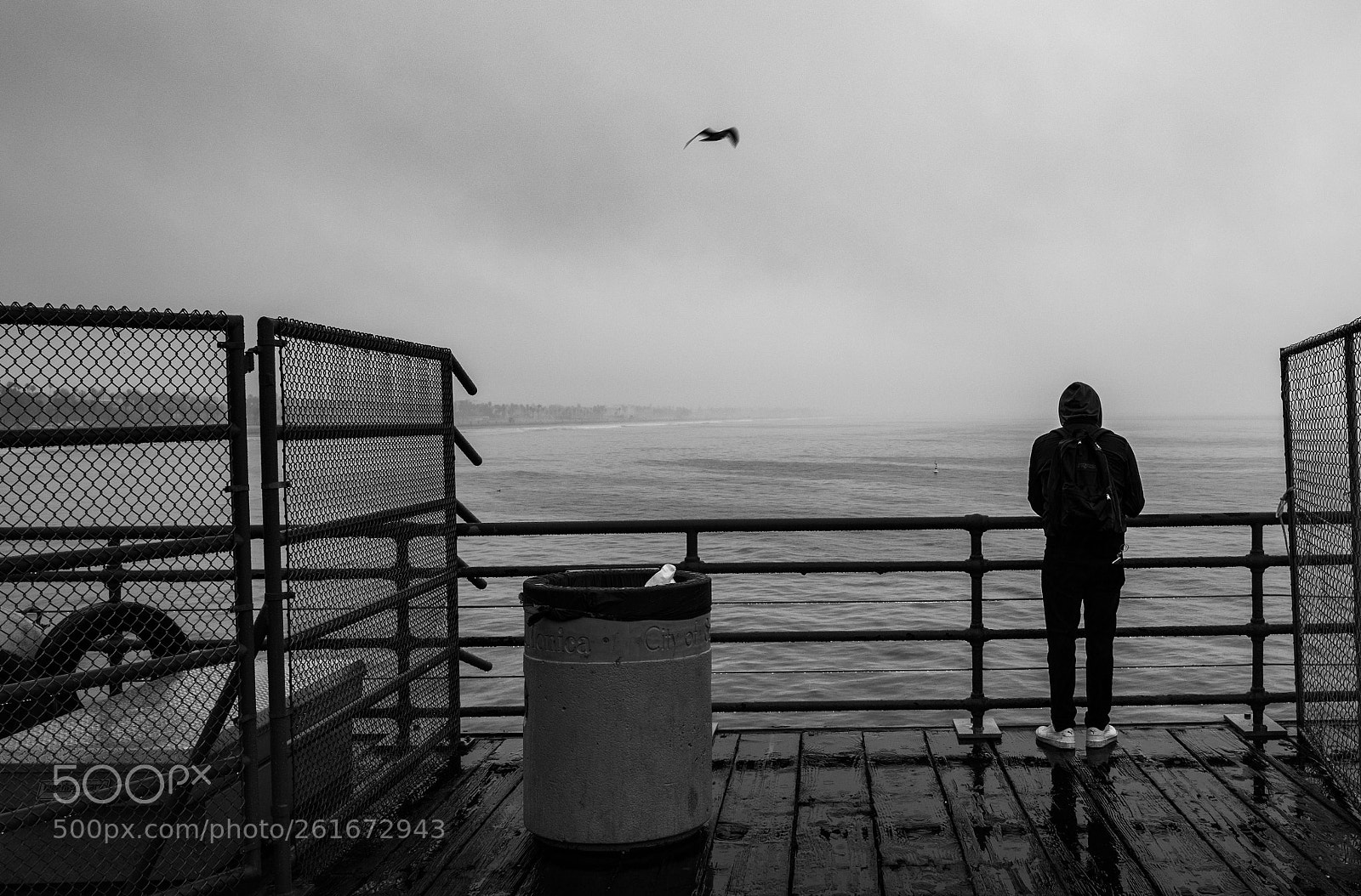 Leica Q (Typ 116) sample photo. Solitude photography