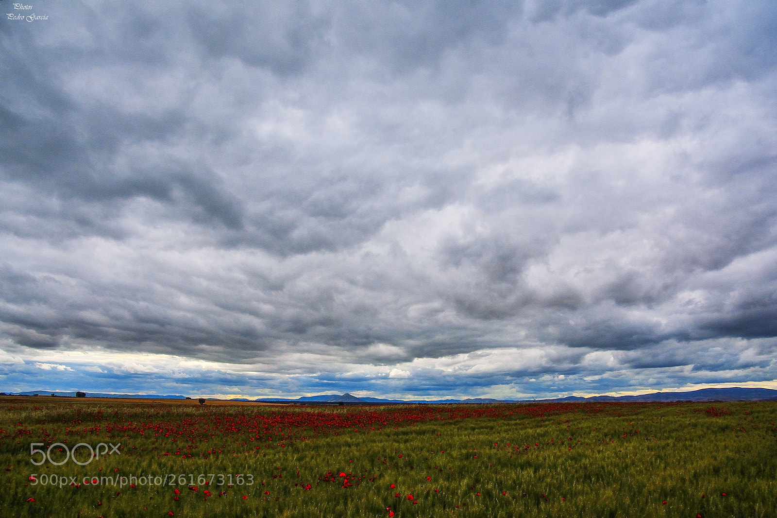 Nikon D7100 sample photo. Cloud sky photography
