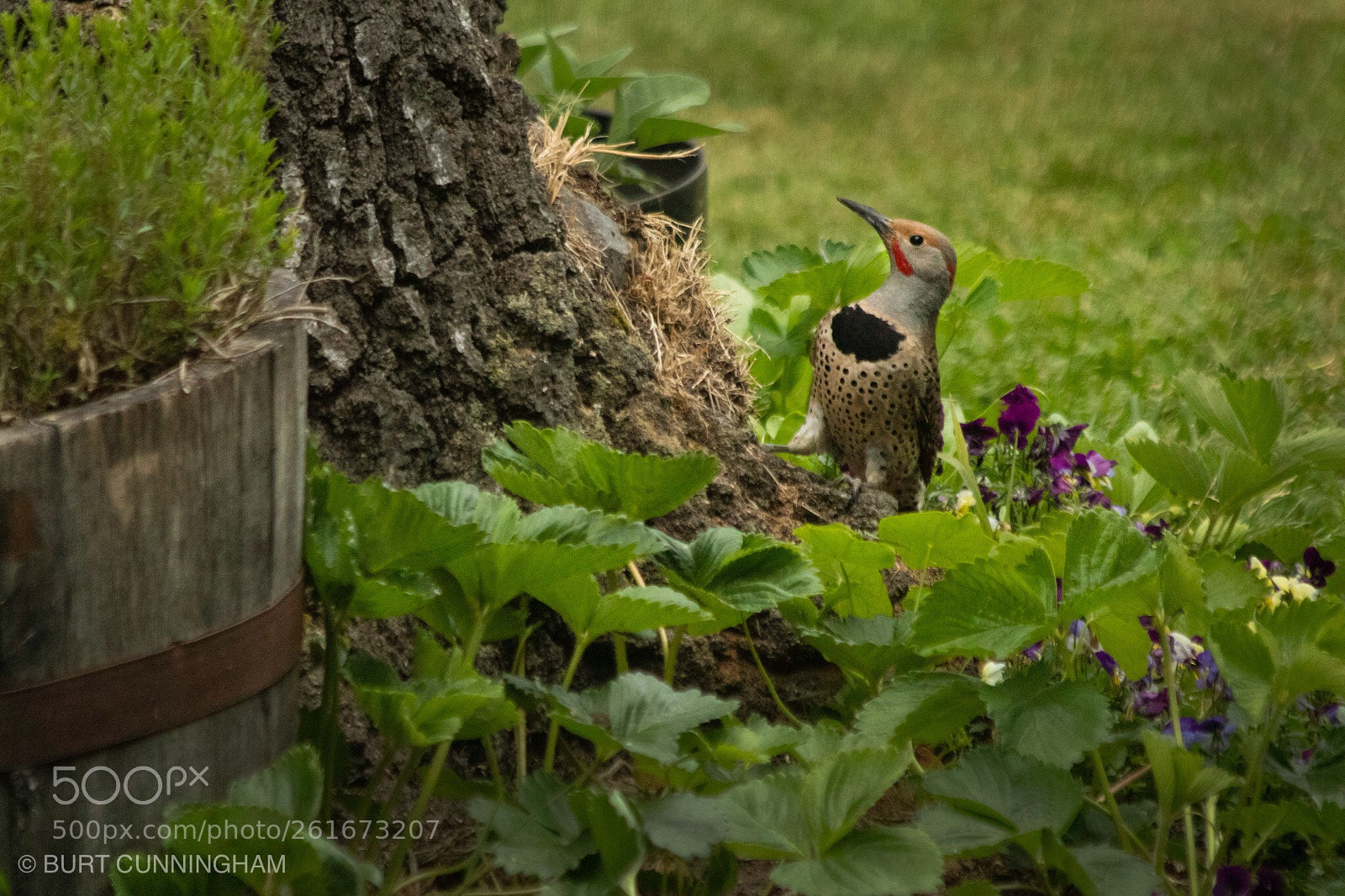 Canon EOS M5 sample photo. Flicker 1 photography