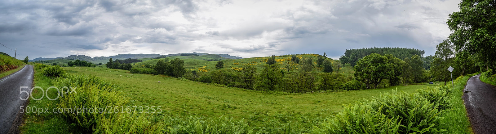 Nikon D5300 sample photo. The road goes ever photography