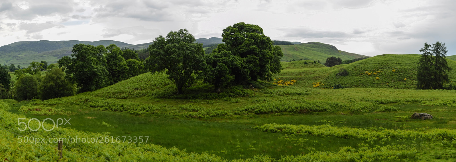Nikon D5300 sample photo. Hobbit country photography
