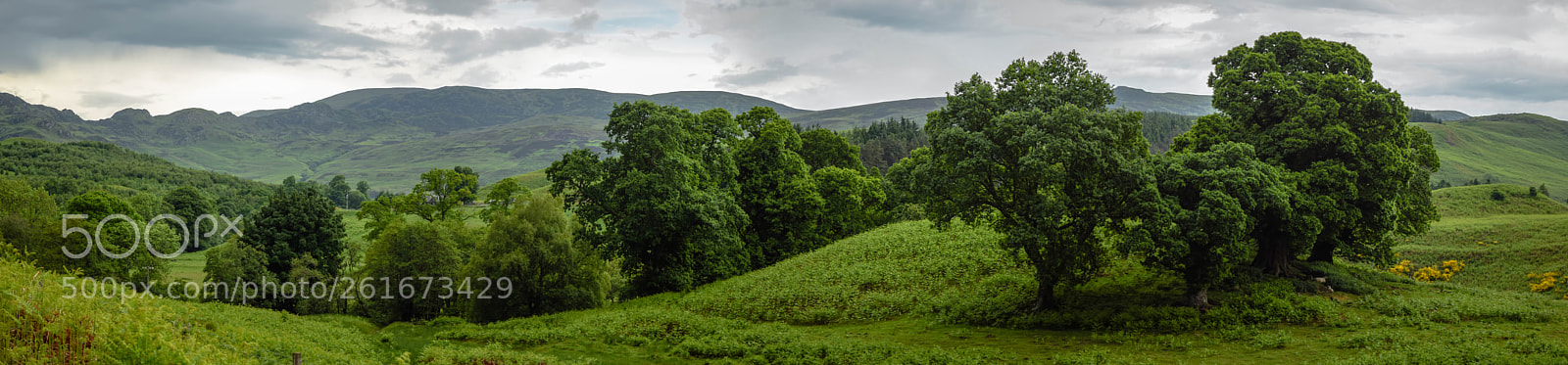 Nikon D5300 sample photo. The shire photography