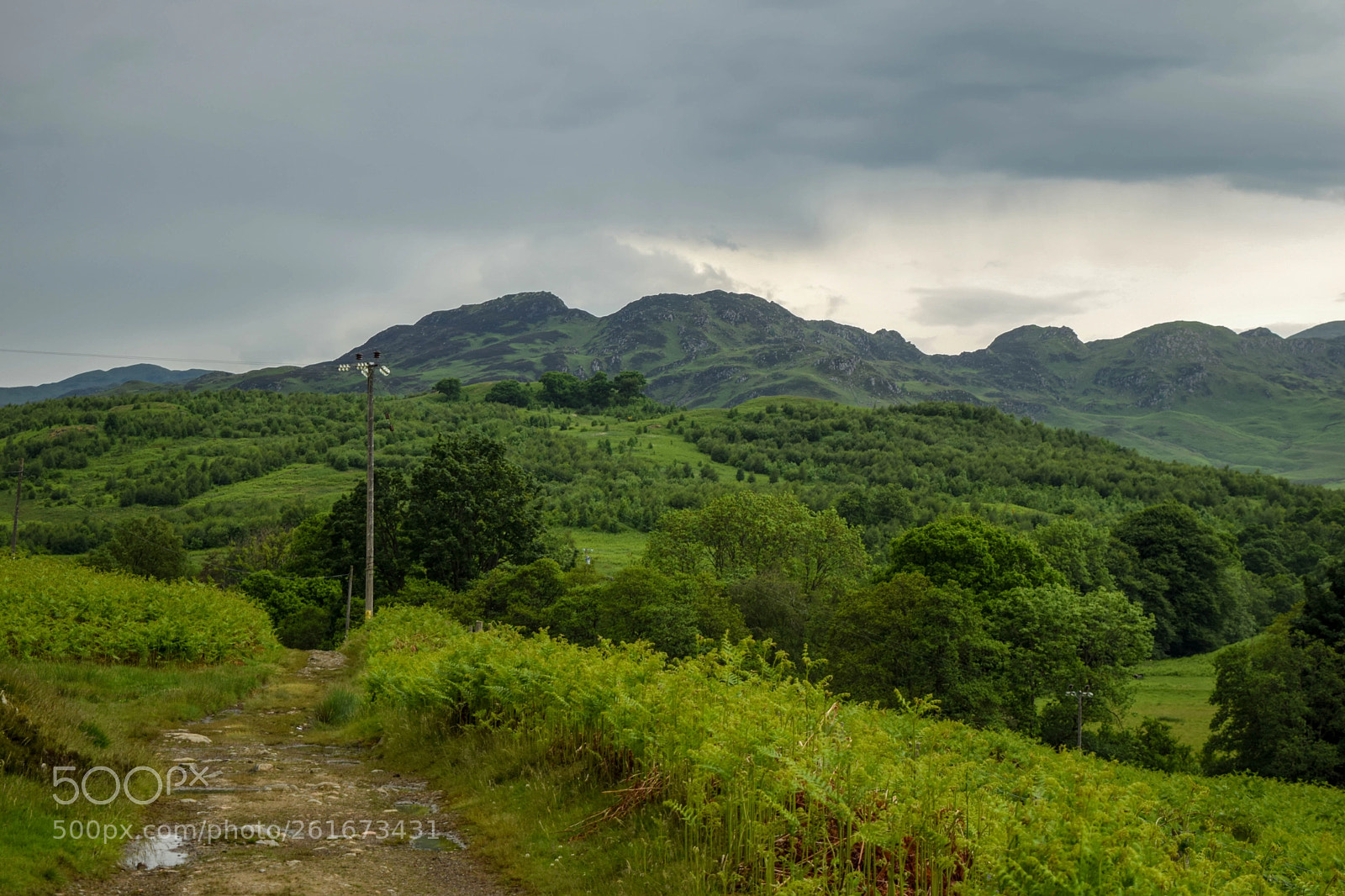 Nikon D5300 sample photo. Country road photography