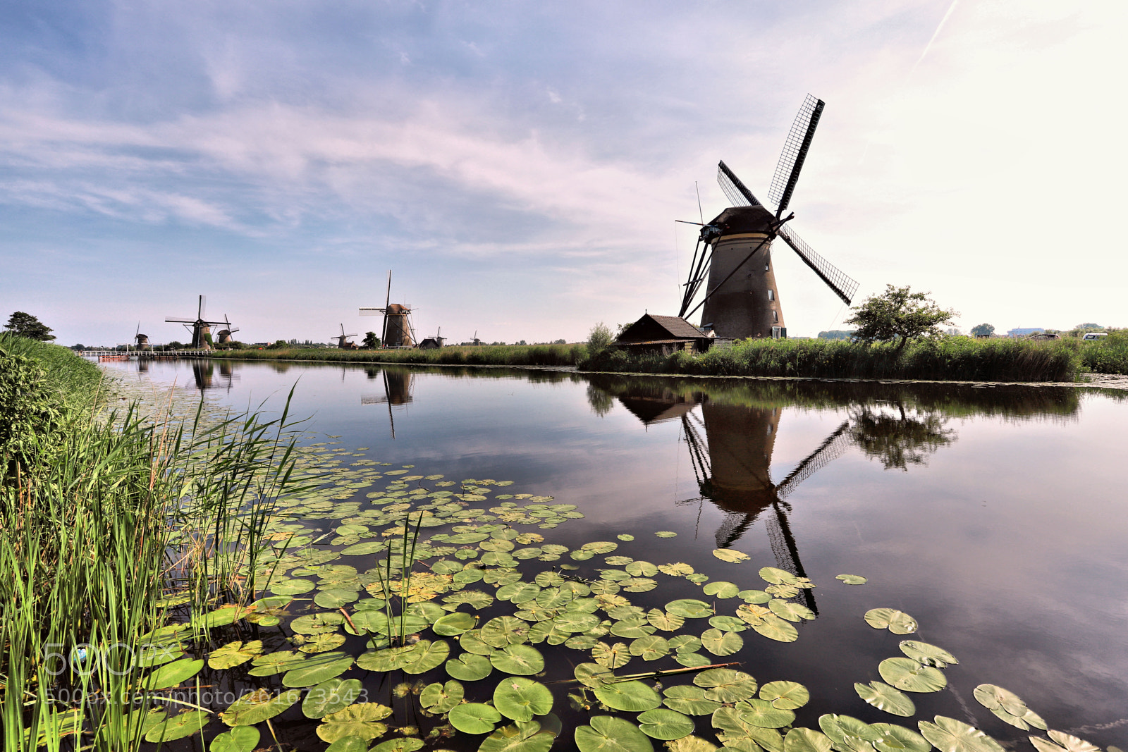 Canon EOS 6D Mark II sample photo. Waterlilies and windmills of photography