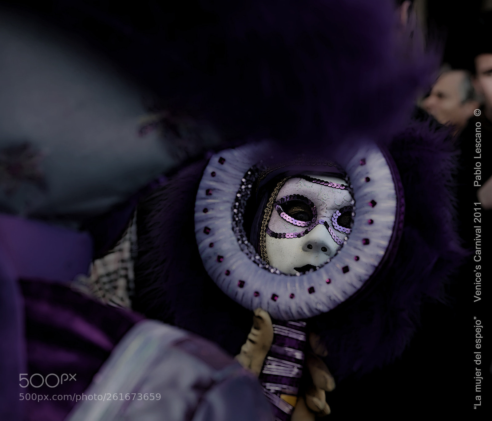 Canon EOS-1Ds sample photo. The mirror girl. photography