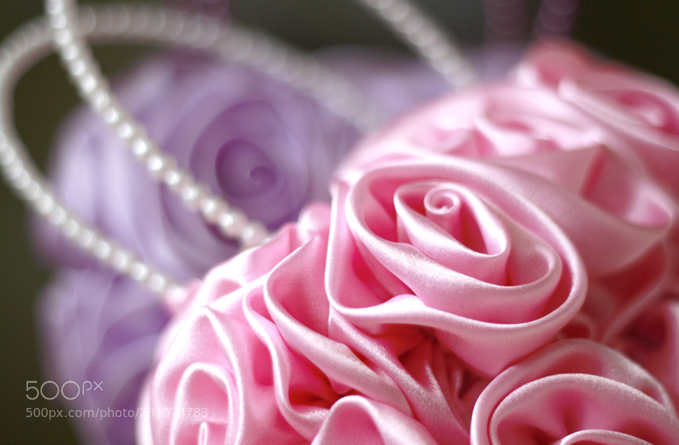 Canon EOS 1000D (EOS Digital Rebel XS / EOS Kiss F) sample photo. Satin roses photography
