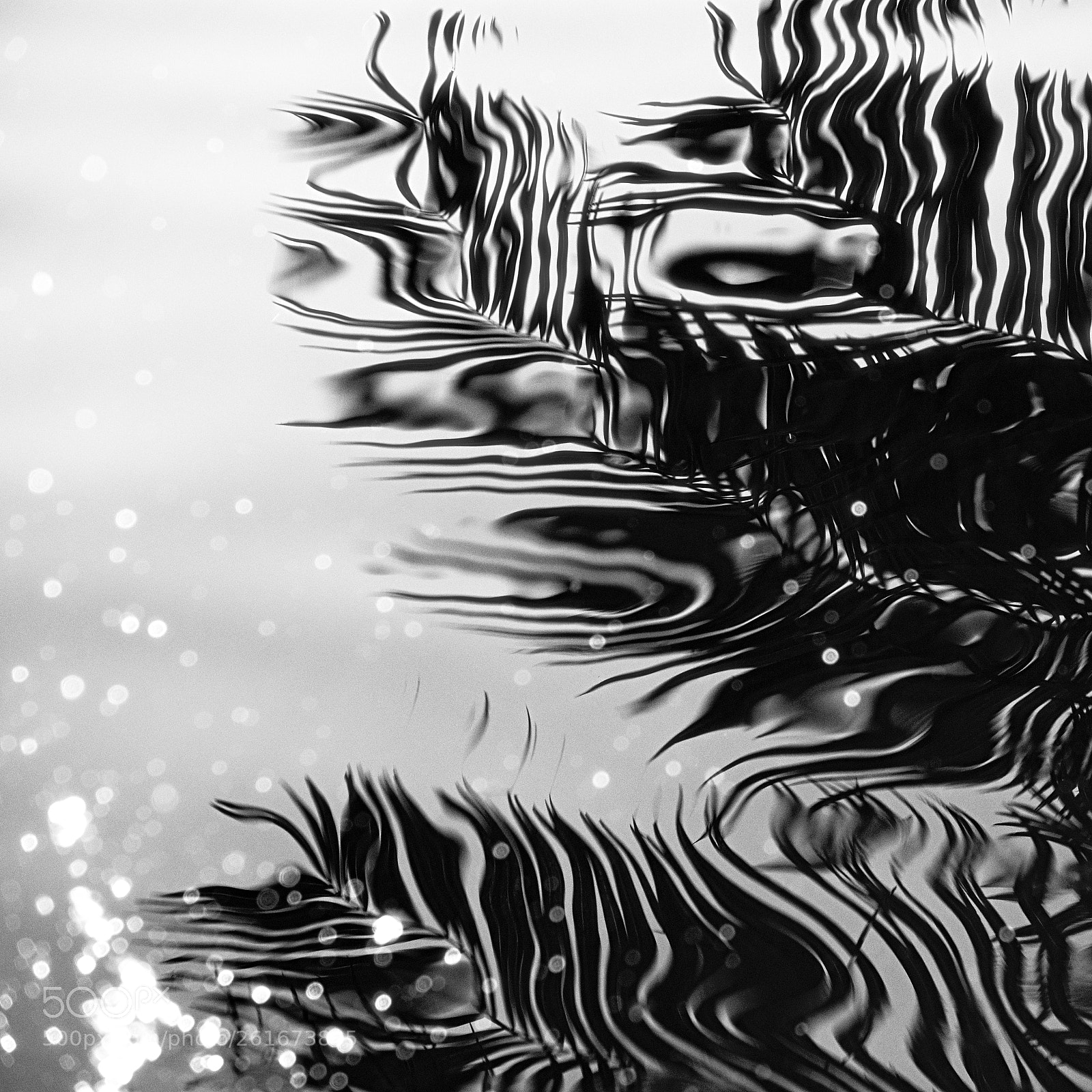 Fujifilm X-T2 sample photo. The ripple effect photography