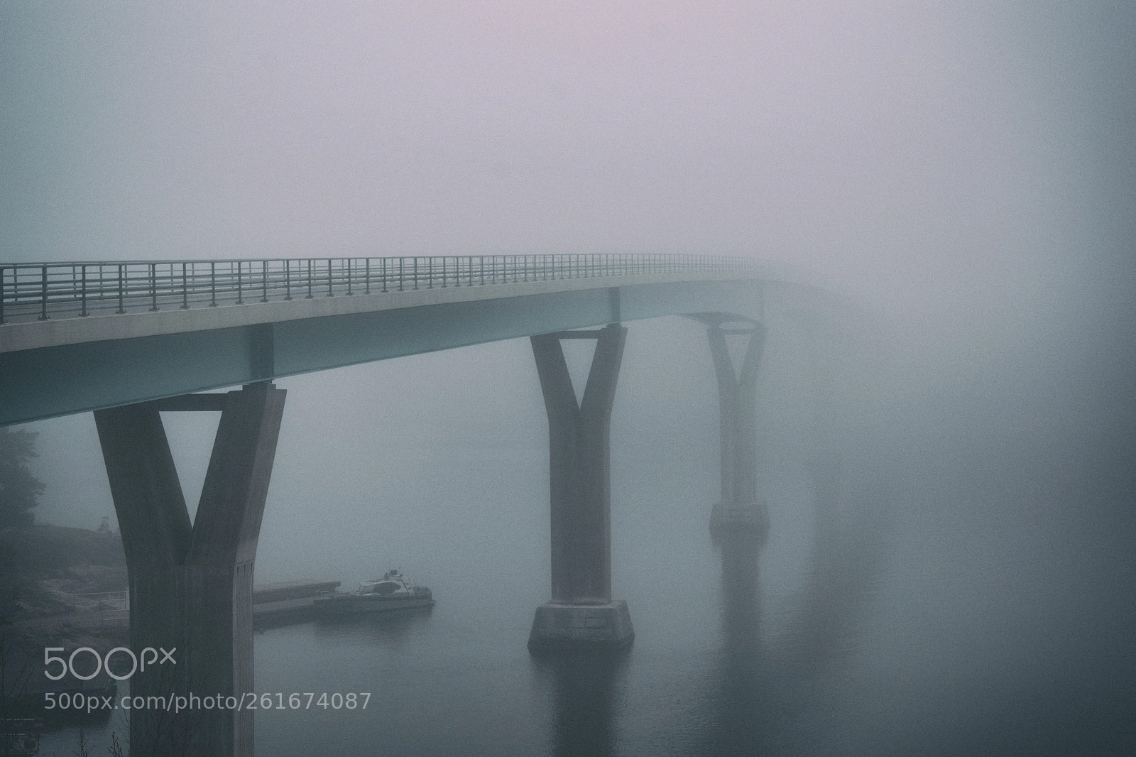Nikon D5300 sample photo. Foggy bridge photography