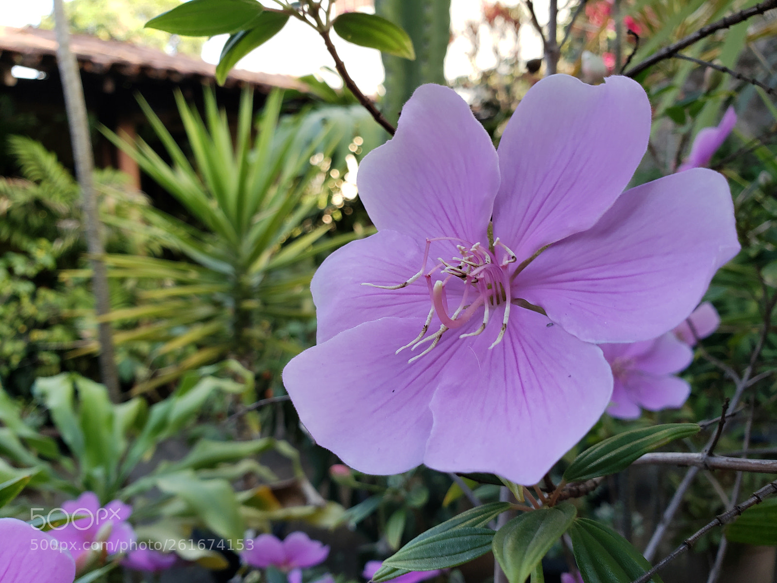 Samsung Galaxy S9 sample photo. Untitled photography