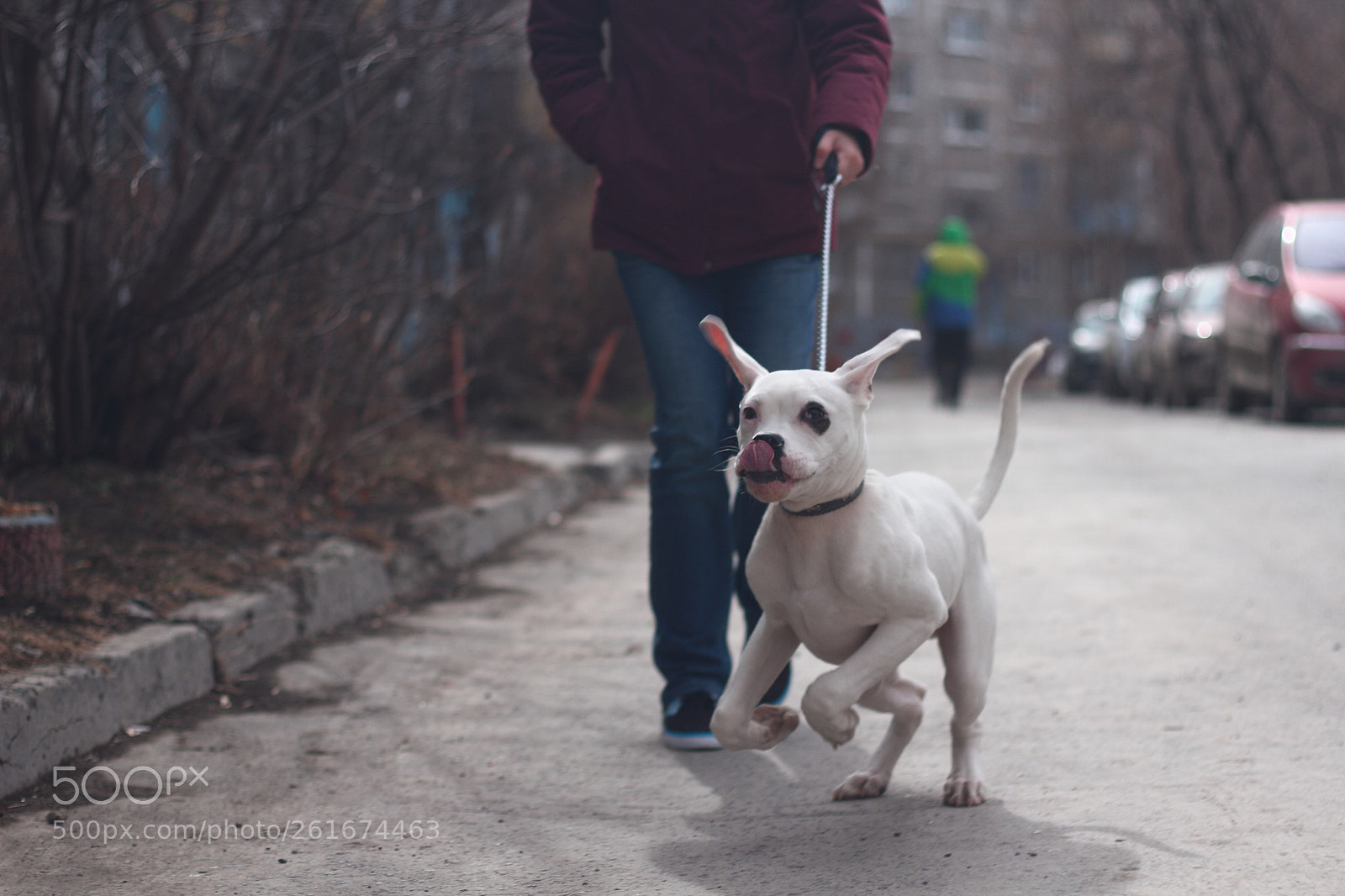 Canon EOS 7D + Canon EF 50mm F1.8 STM sample photo. Img photography
