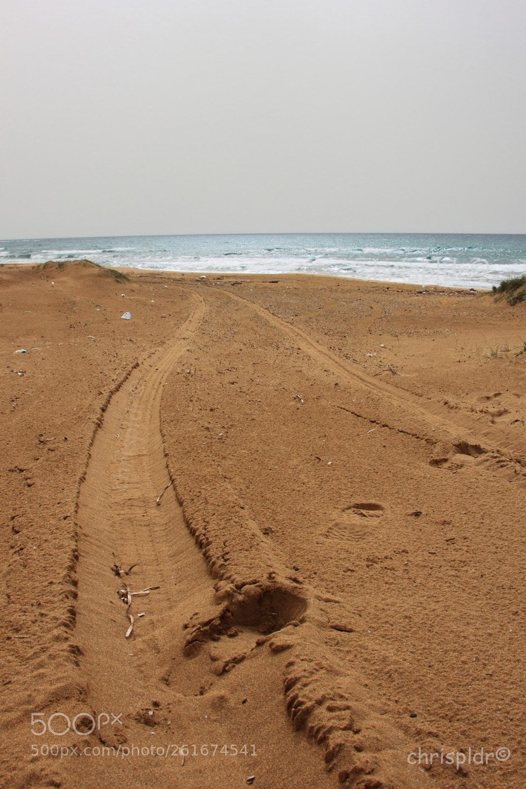 Canon EOS 500D (EOS Rebel T1i / EOS Kiss X3) sample photo. Footsteps photography