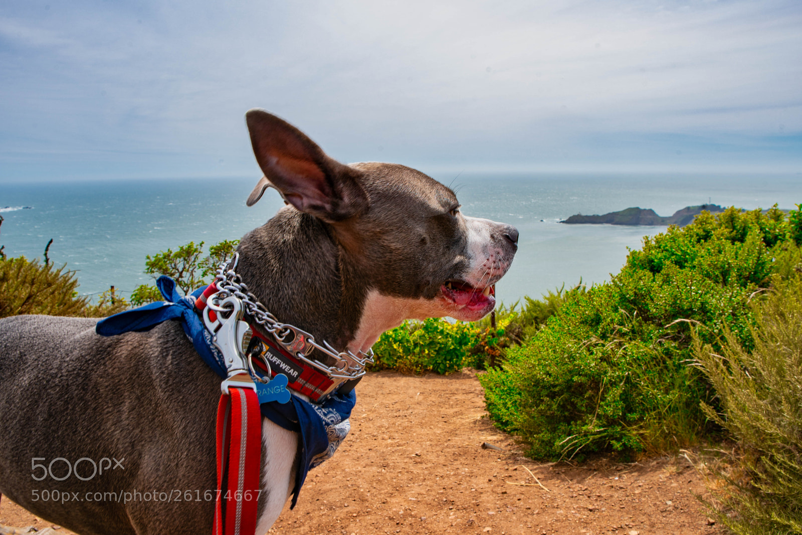 Sony a9 sample photo. Marin headlands photography