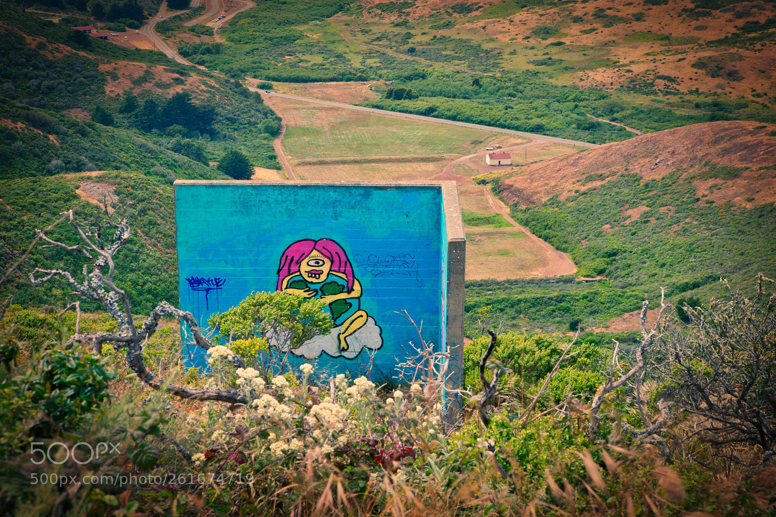 Sony a9 sample photo. Marin headlands photography