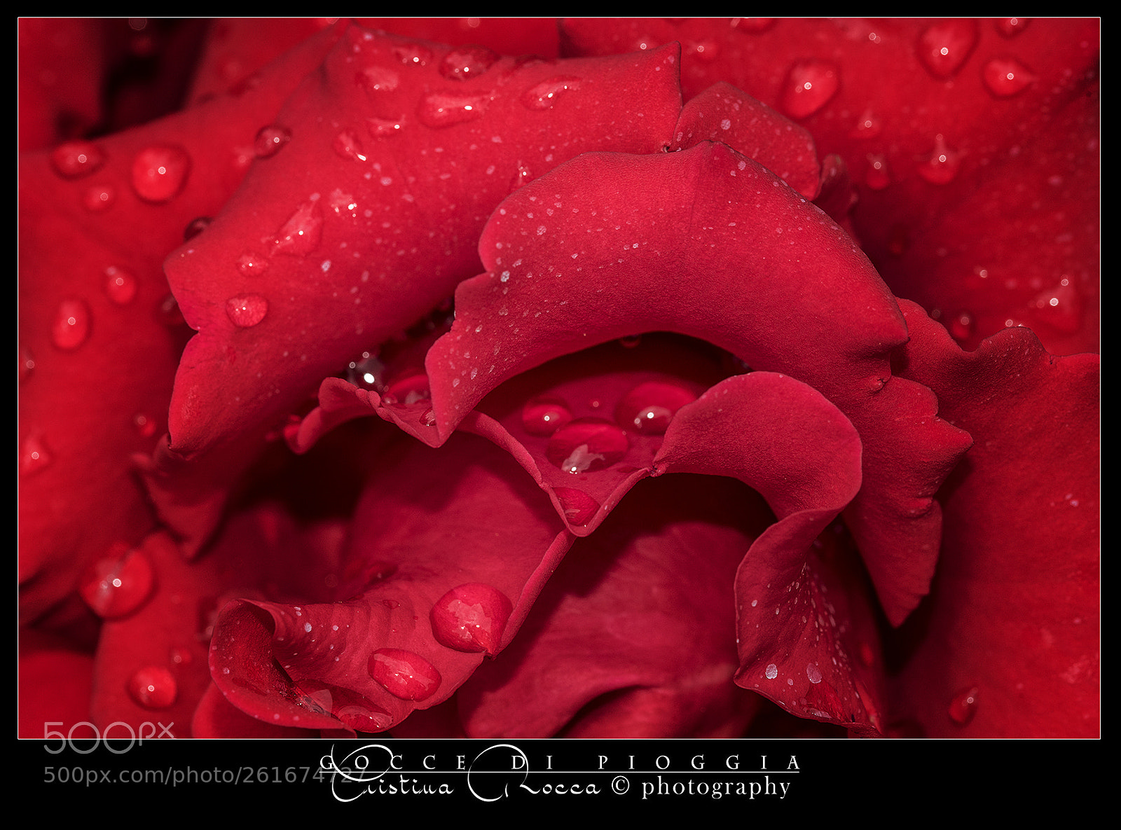 Nikon D750 sample photo. Gocce di pioggia photography