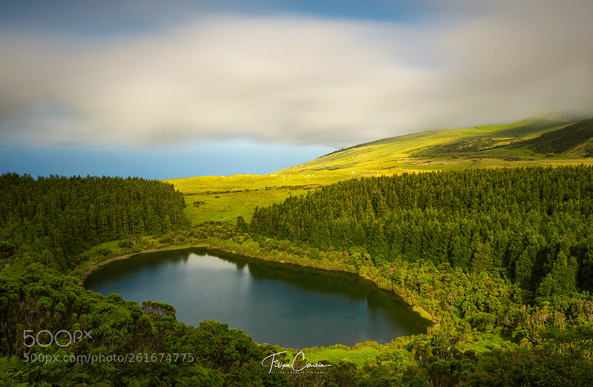 Canon EOS 6D sample photo. Blue & green photography