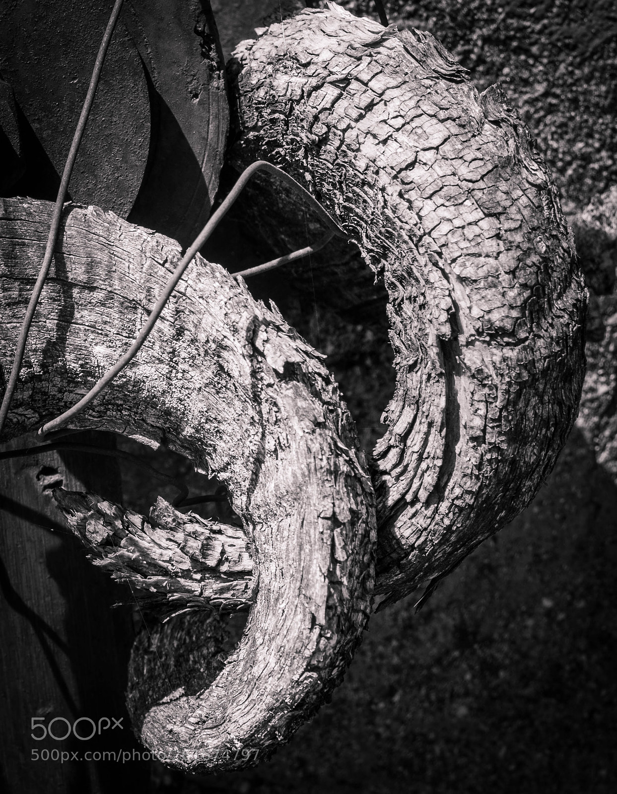 Fujifilm X-T2 sample photo. Horns photography