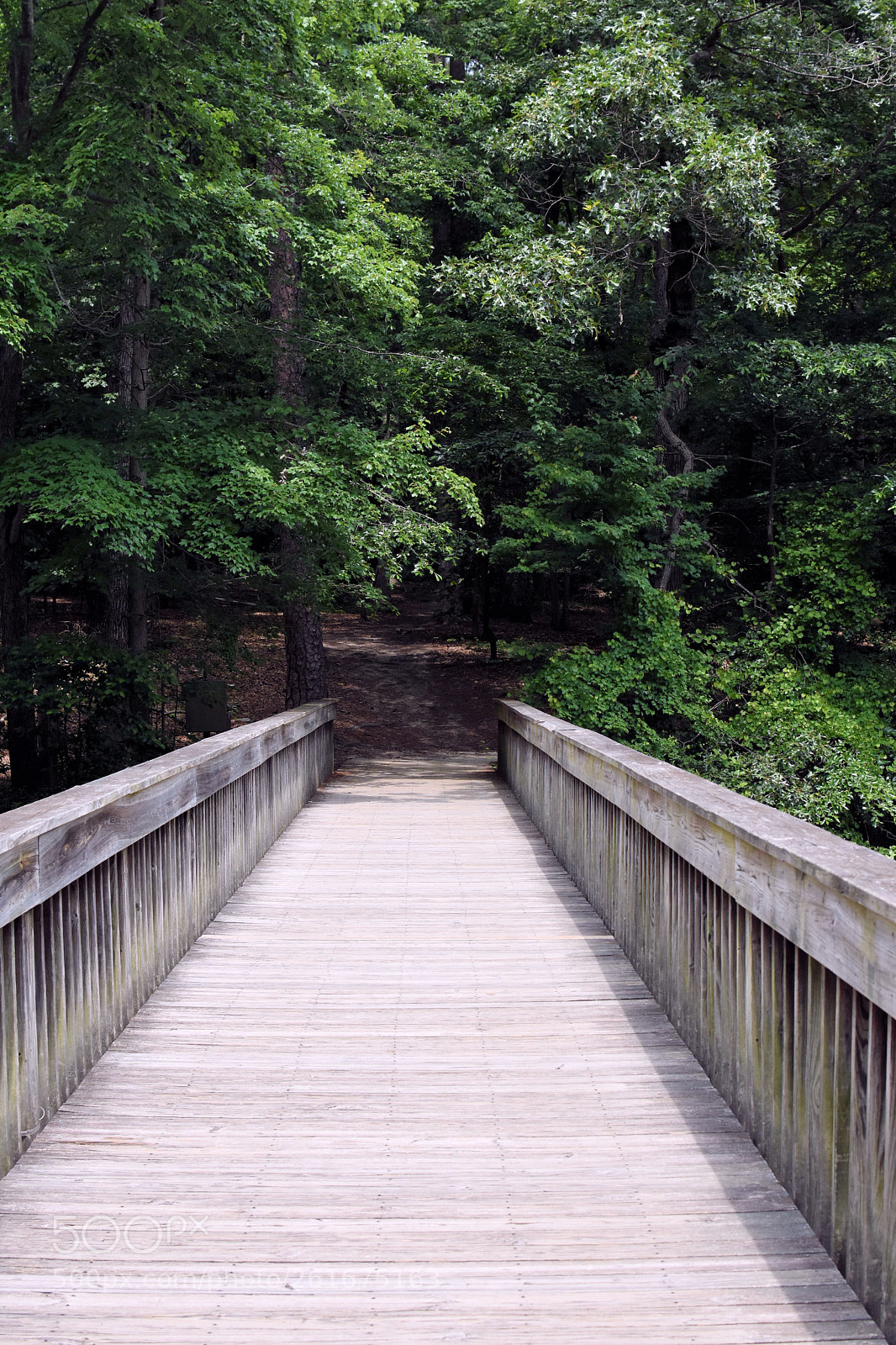 Nikon D3400 sample photo. Bridge #1 in noland trail photography