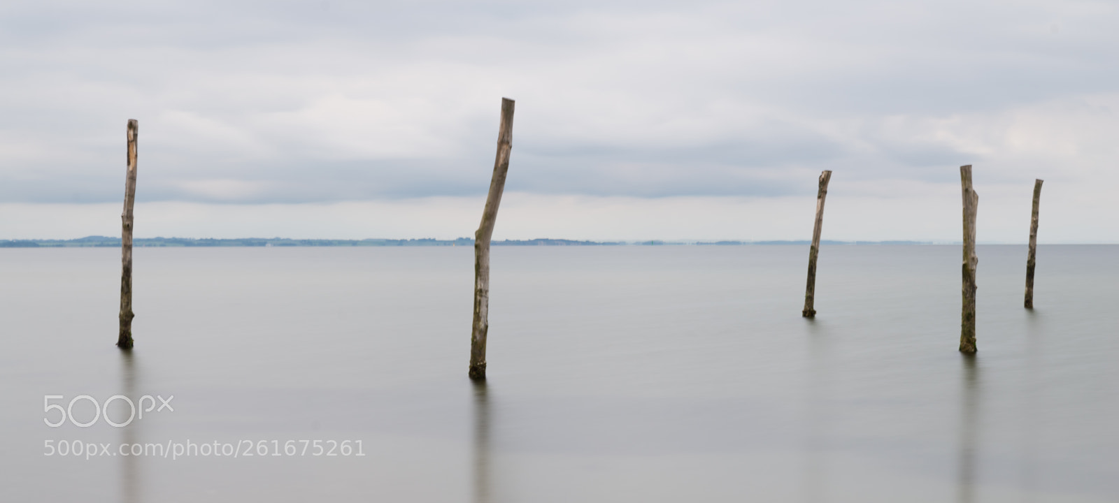 Nikon D610 sample photo. Five photography