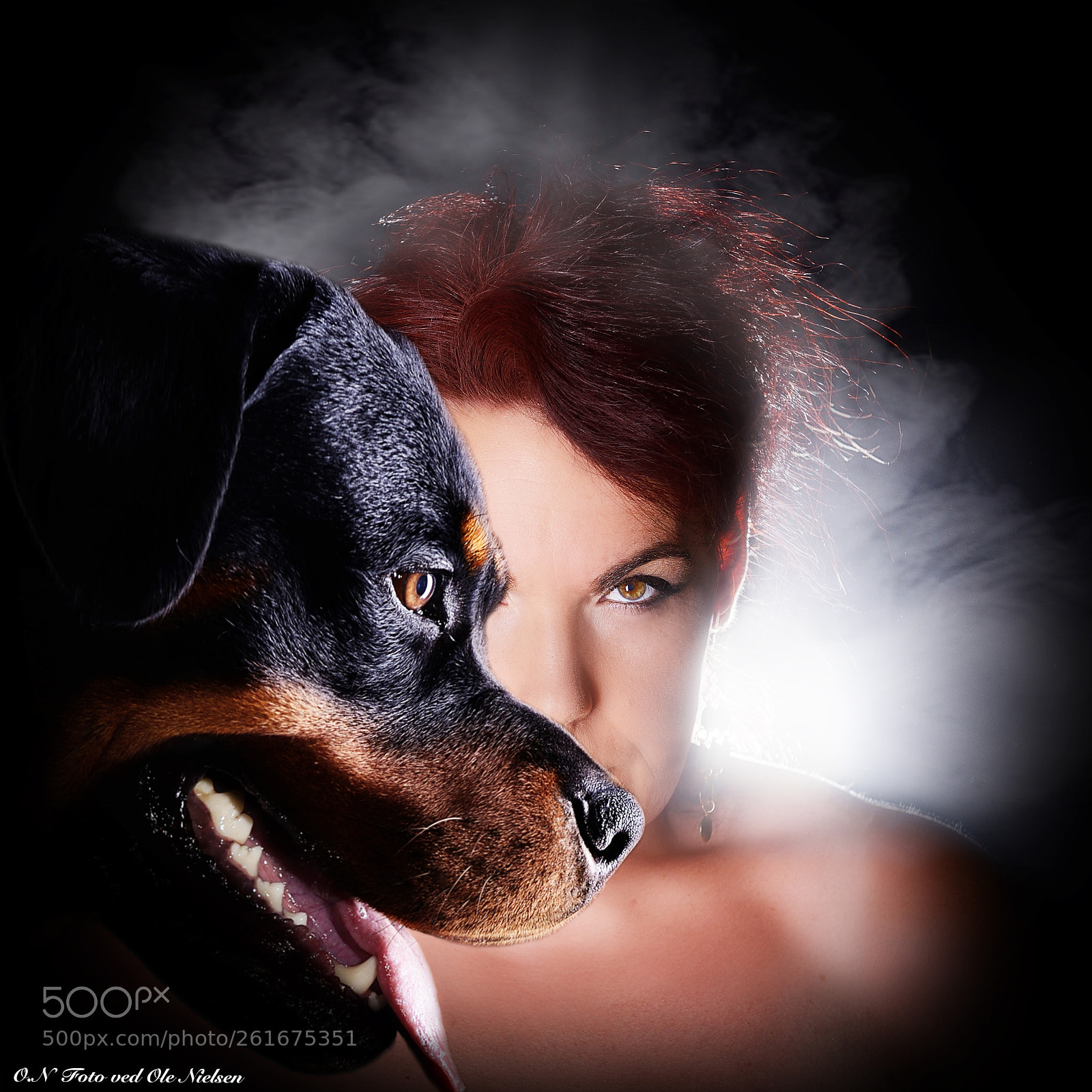 Nikon D800 sample photo. Susie og rottweiler photography