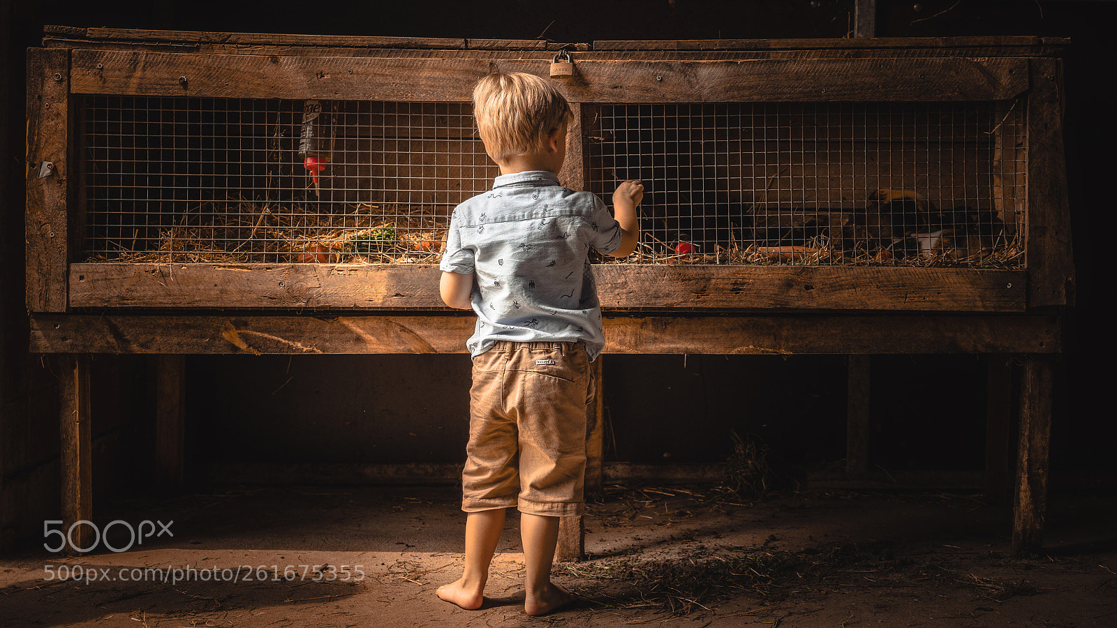 Sony a7R sample photo. On the farm  photography