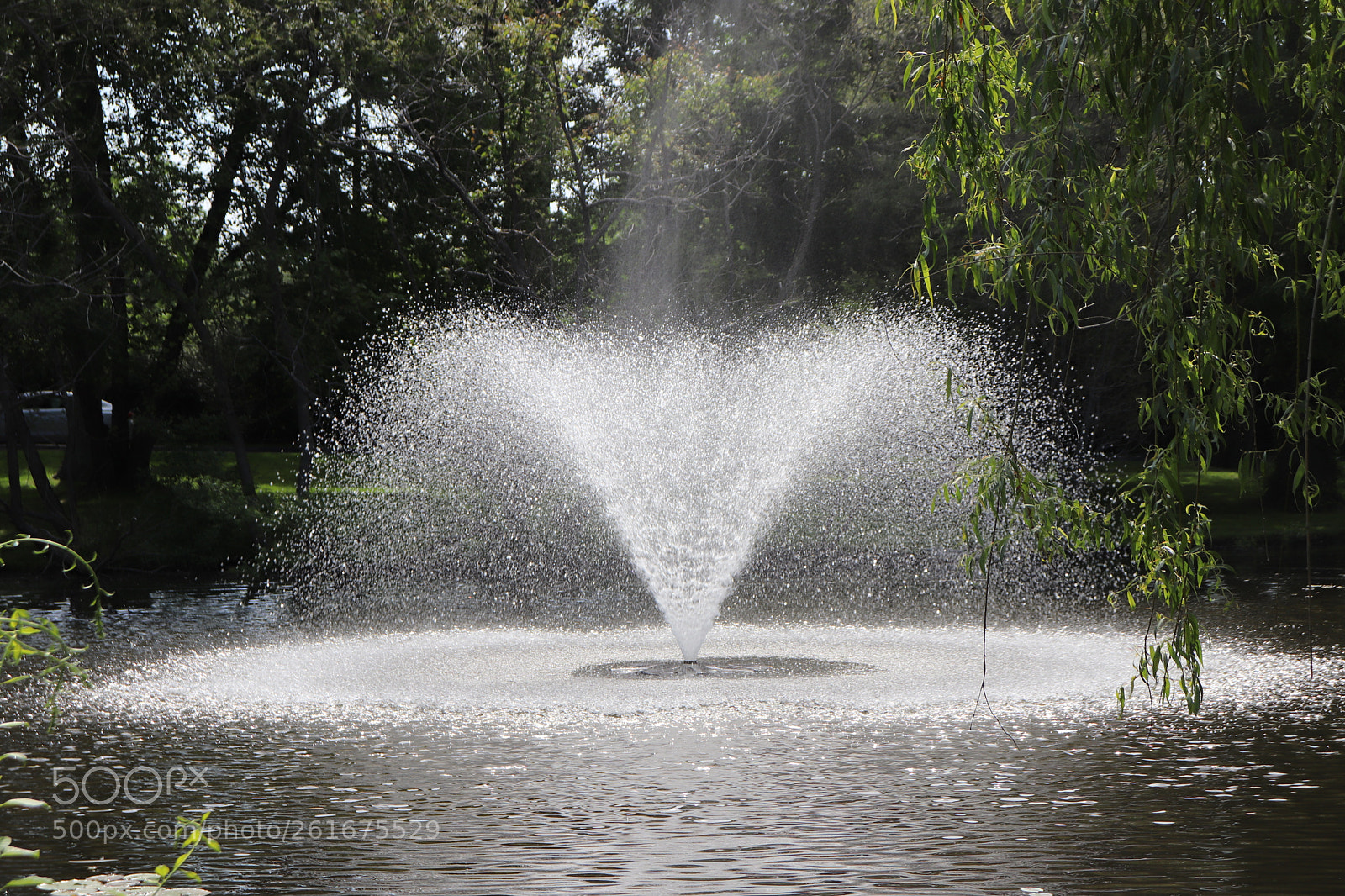 Canon EOS 200D (EOS Rebel SL2 / EOS Kiss X9) sample photo. Water splash photography
