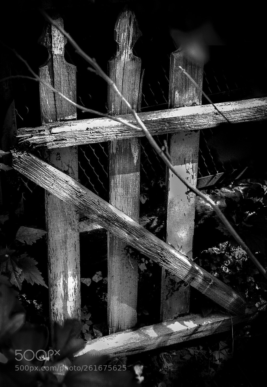 Nikon D7100 sample photo. Broken photography