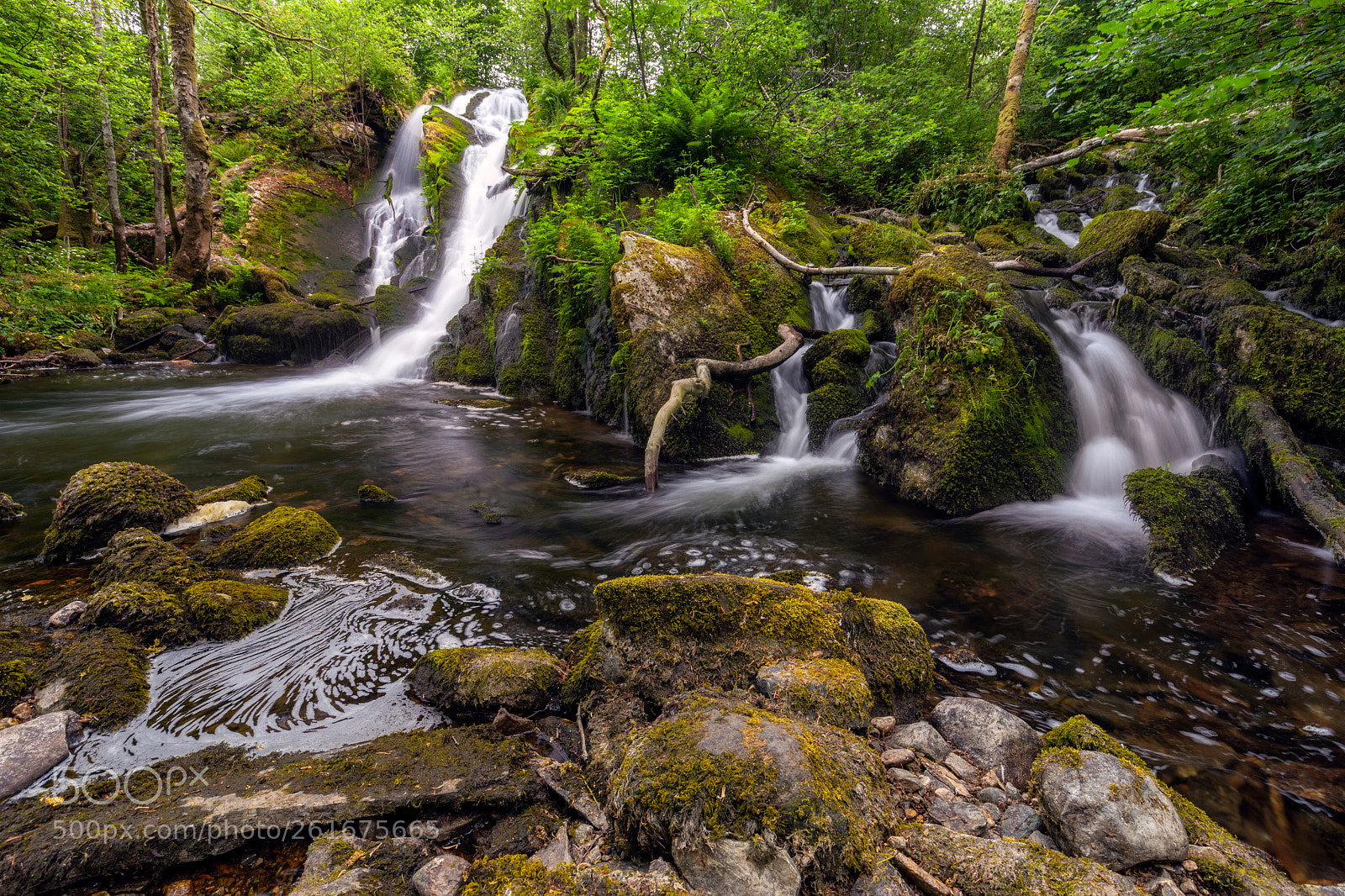 Canon EOS 5D Mark IV sample photo. Flowing forest creek photography
