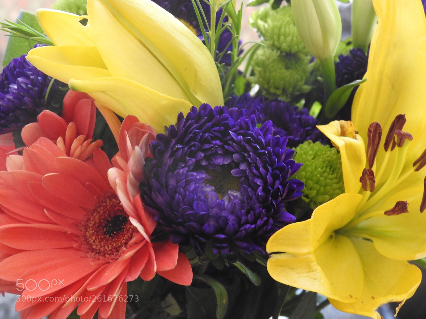 Nikon Coolpix P900 sample photo. Flower power  photography