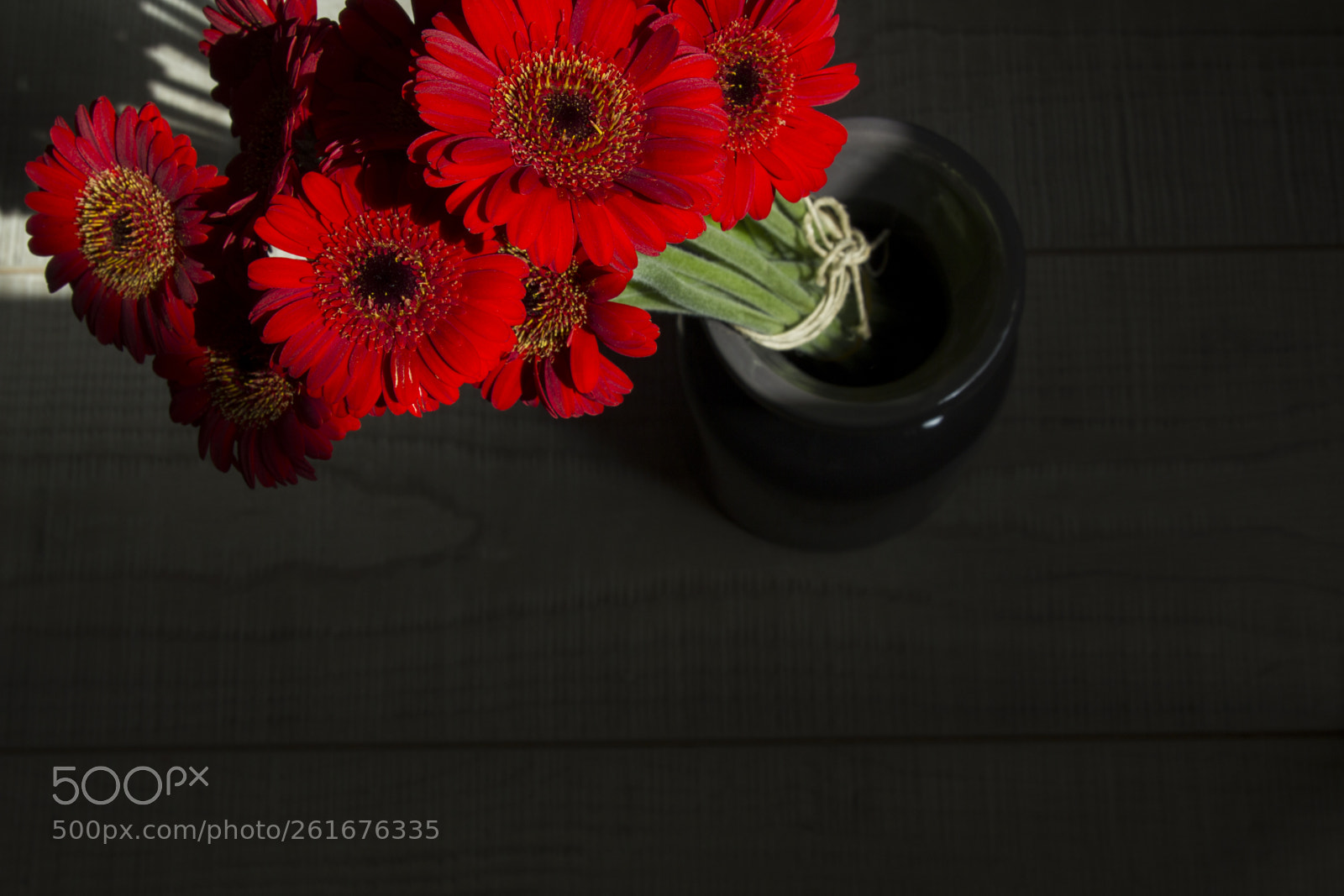 Canon EOS 550D (EOS Rebel T2i / EOS Kiss X4) sample photo. Top view of red photography