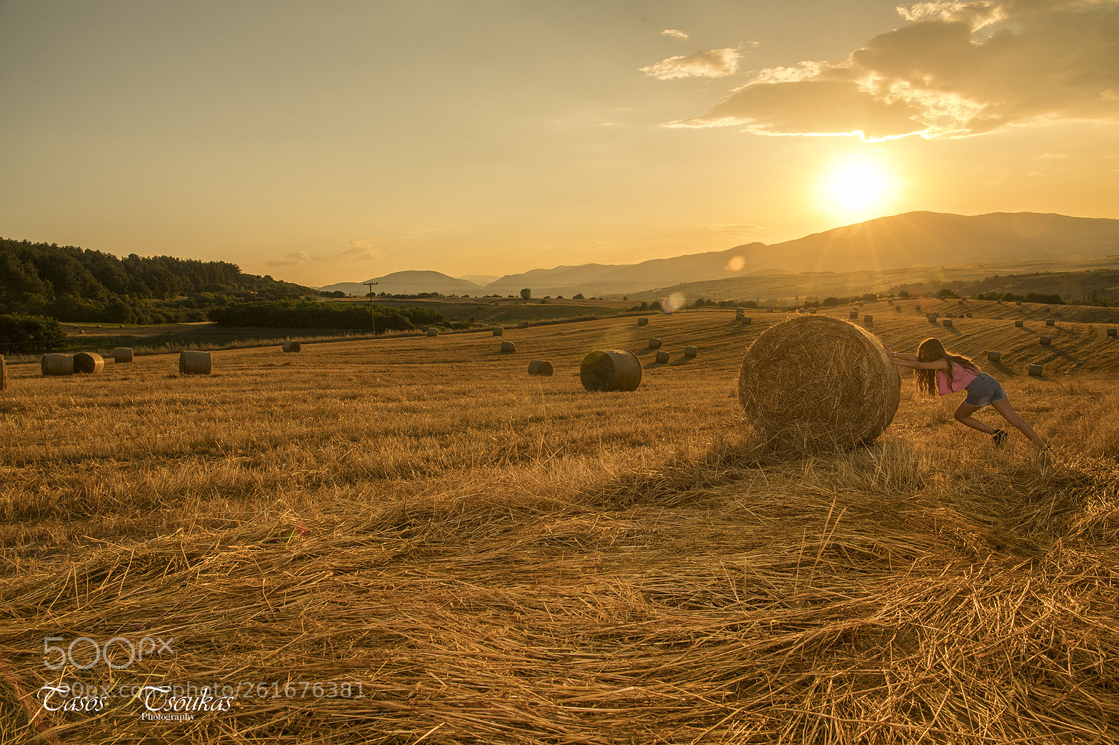 Nikon D850 sample photo. Alonia photography