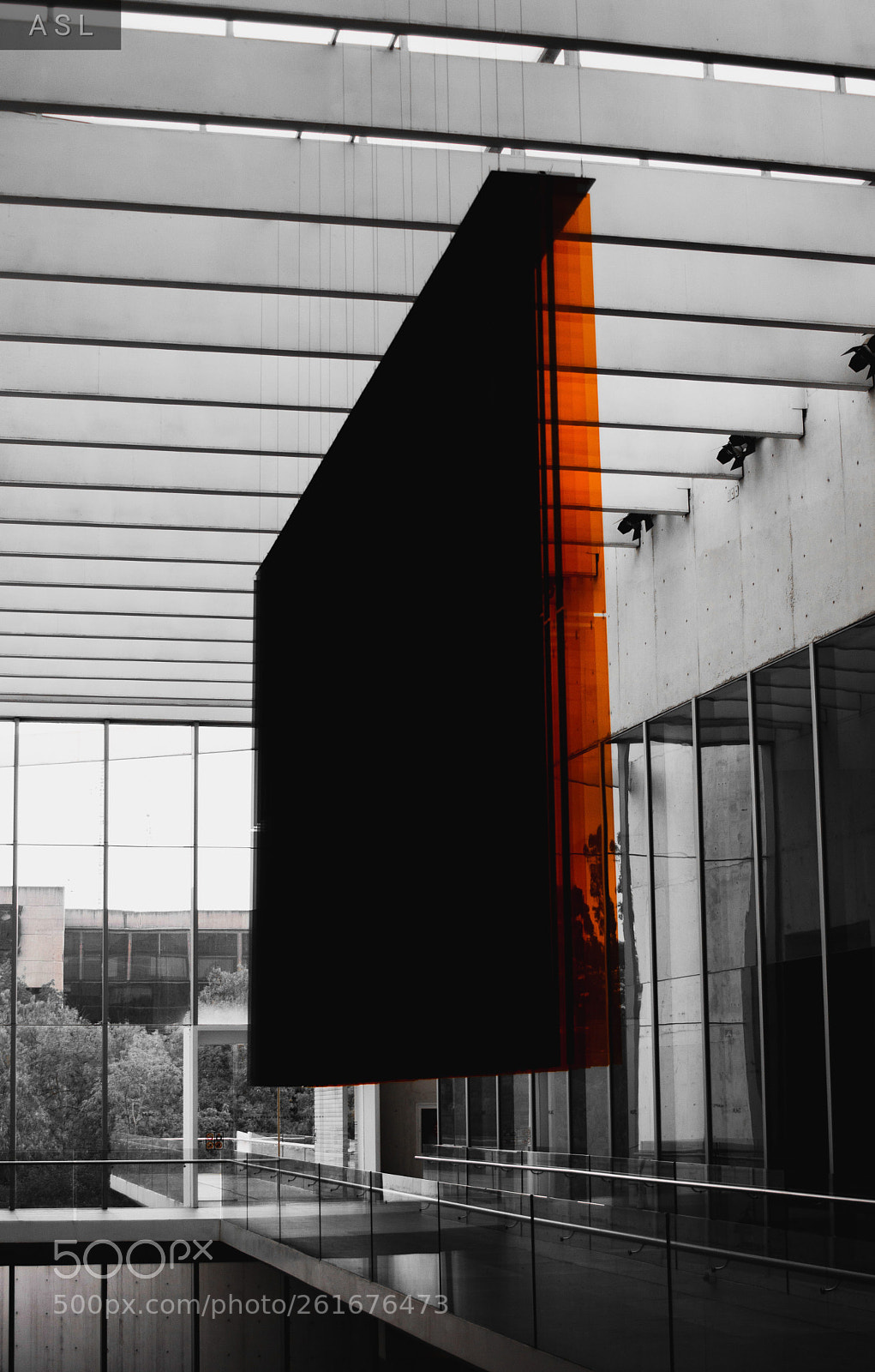 Nikon D3200 sample photo. Orange photography