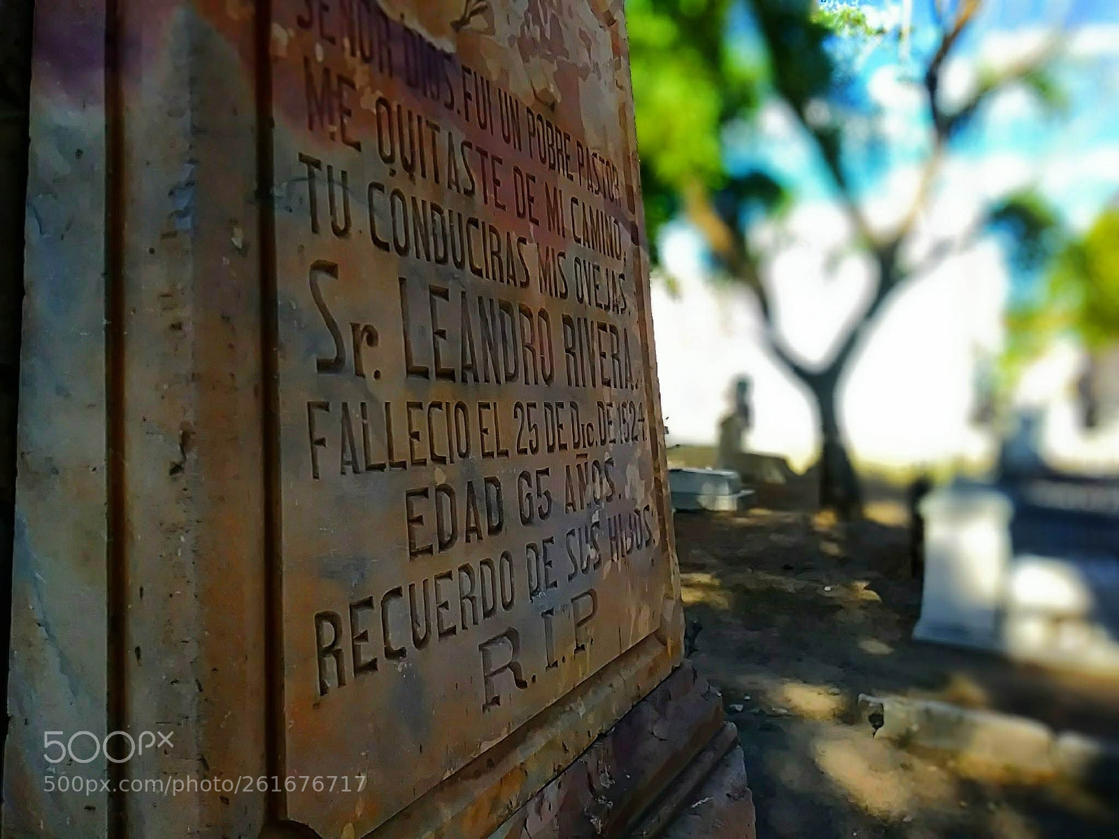 LG ARISTO sample photo. Grave photography