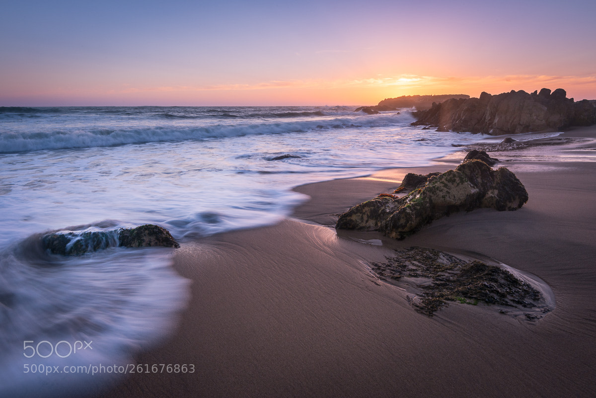Nikon D810 sample photo. Wave in the sand photography