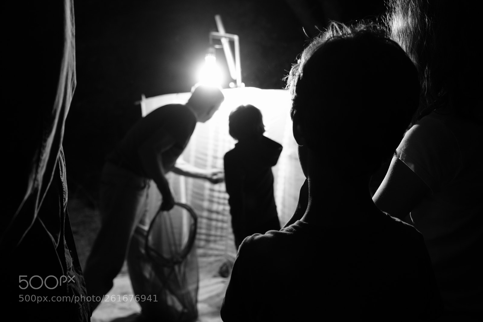 Sony a7R III sample photo. At the light trap photography