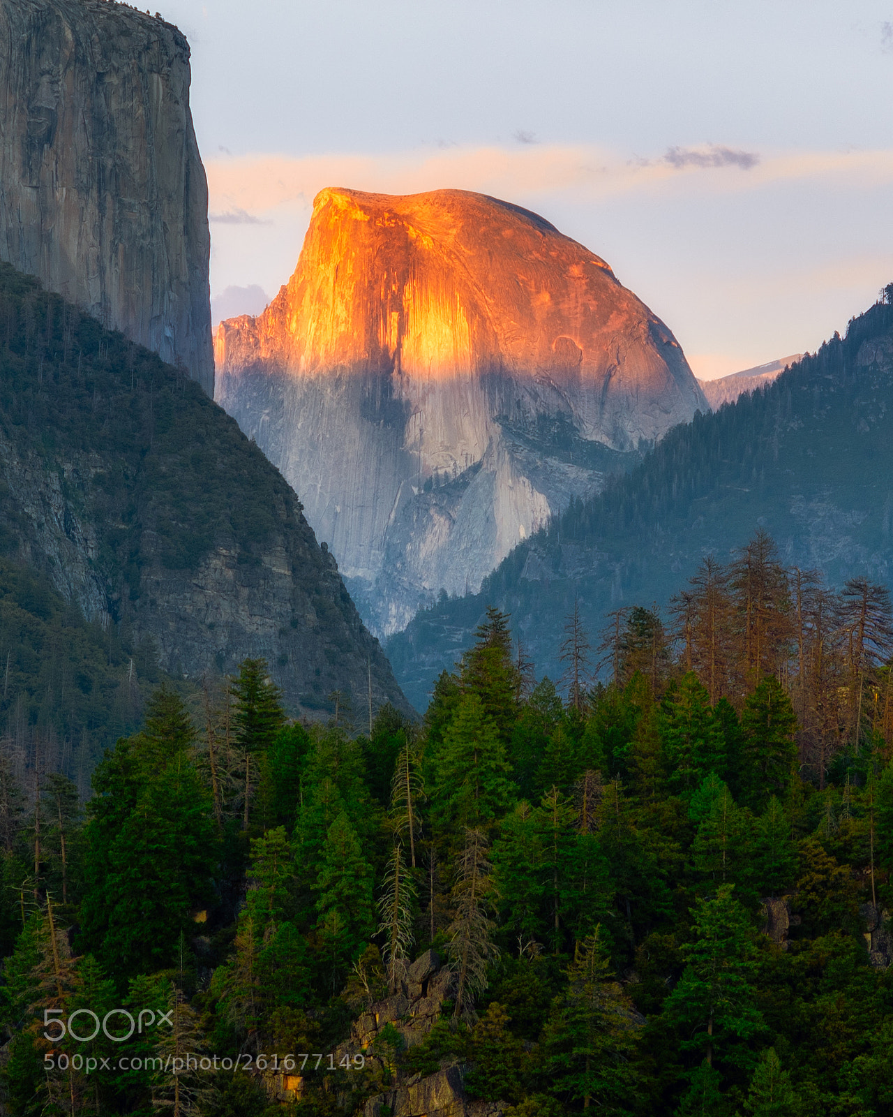 Nikon D750 sample photo. Half dome photography