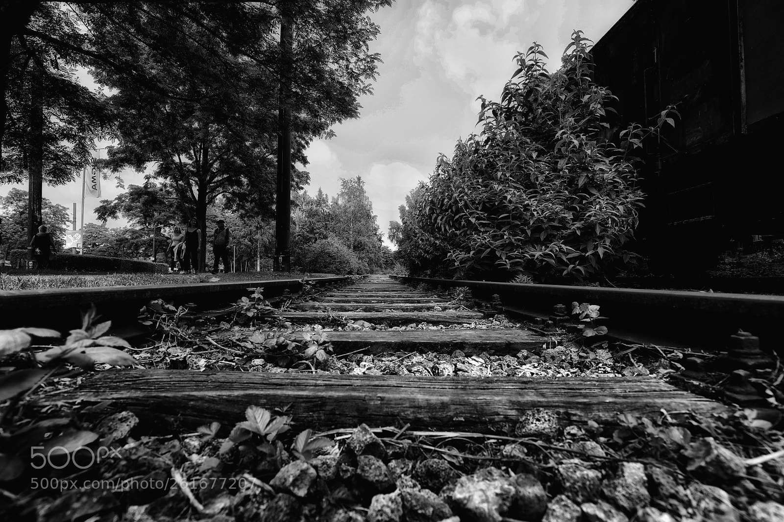 Canon EOS 5D Mark IV sample photo. Alte wege photography