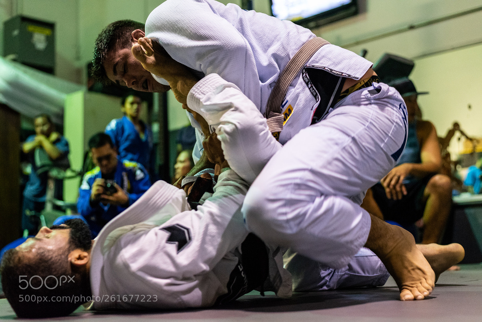 Nikon D750 sample photo. Work the pass photography