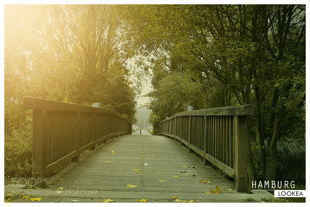 Nikon D7100 sample photo. Hamb photography