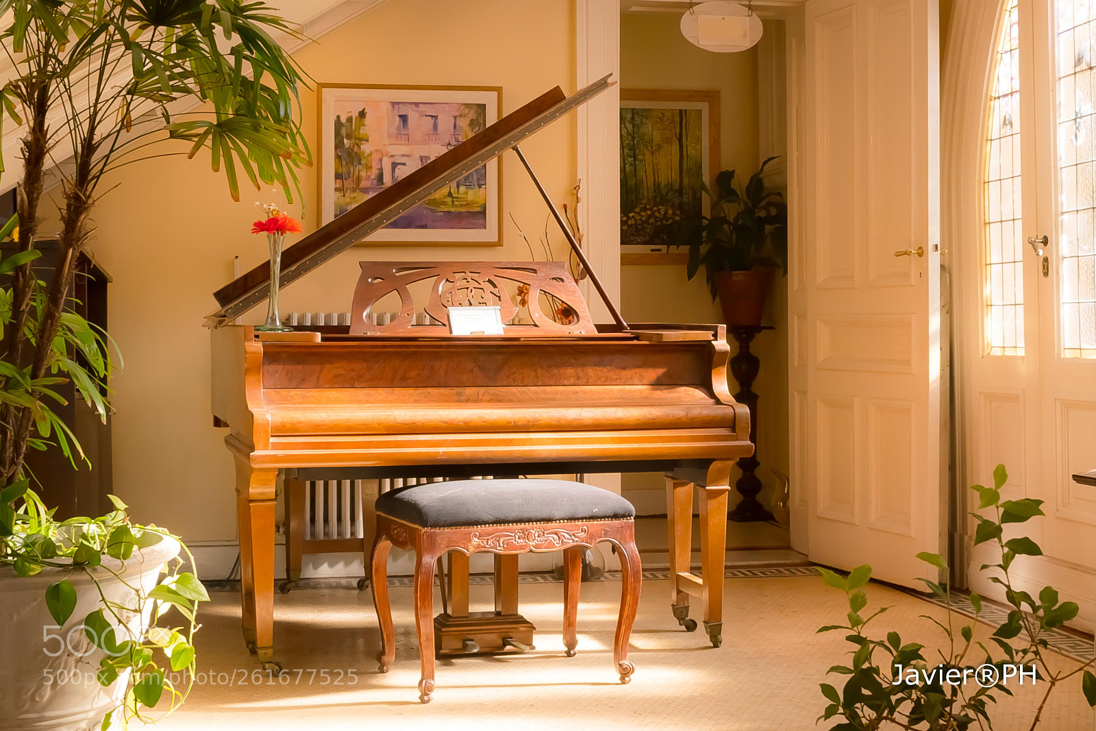 Nikon D7500 sample photo. Warm corner photography