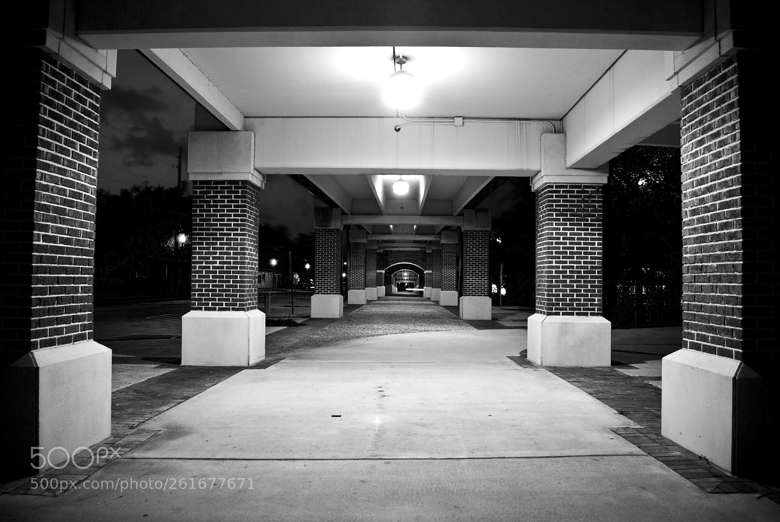 Nikon D60 sample photo. Walkway photography