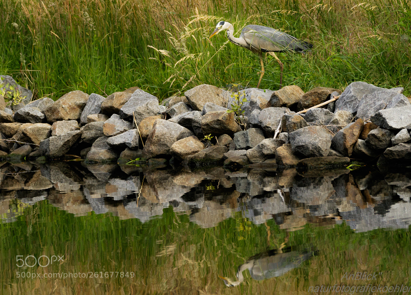 Canon EOS 7D Mark II sample photo. Morgenspaziergang photography
