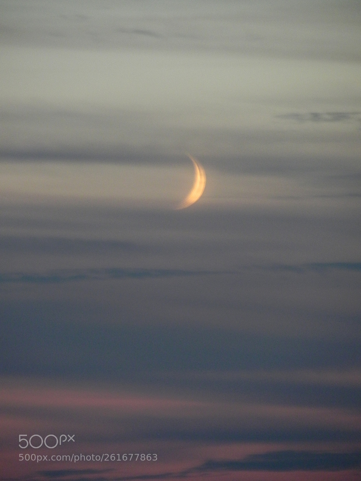 Nikon Coolpix P100 sample photo. Dreamtime photography