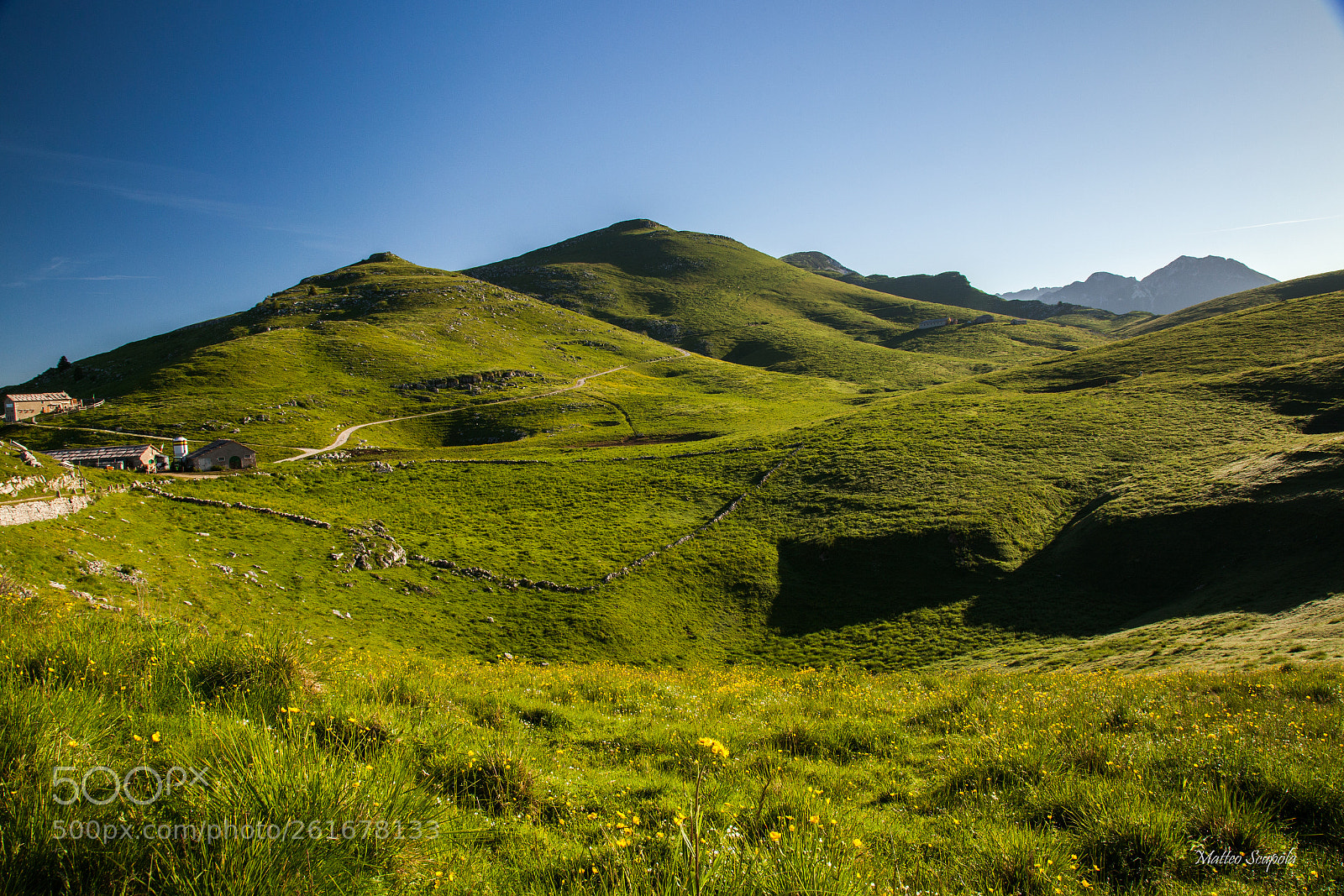 Canon EOS 5D Mark II sample photo. Morning's green land photography