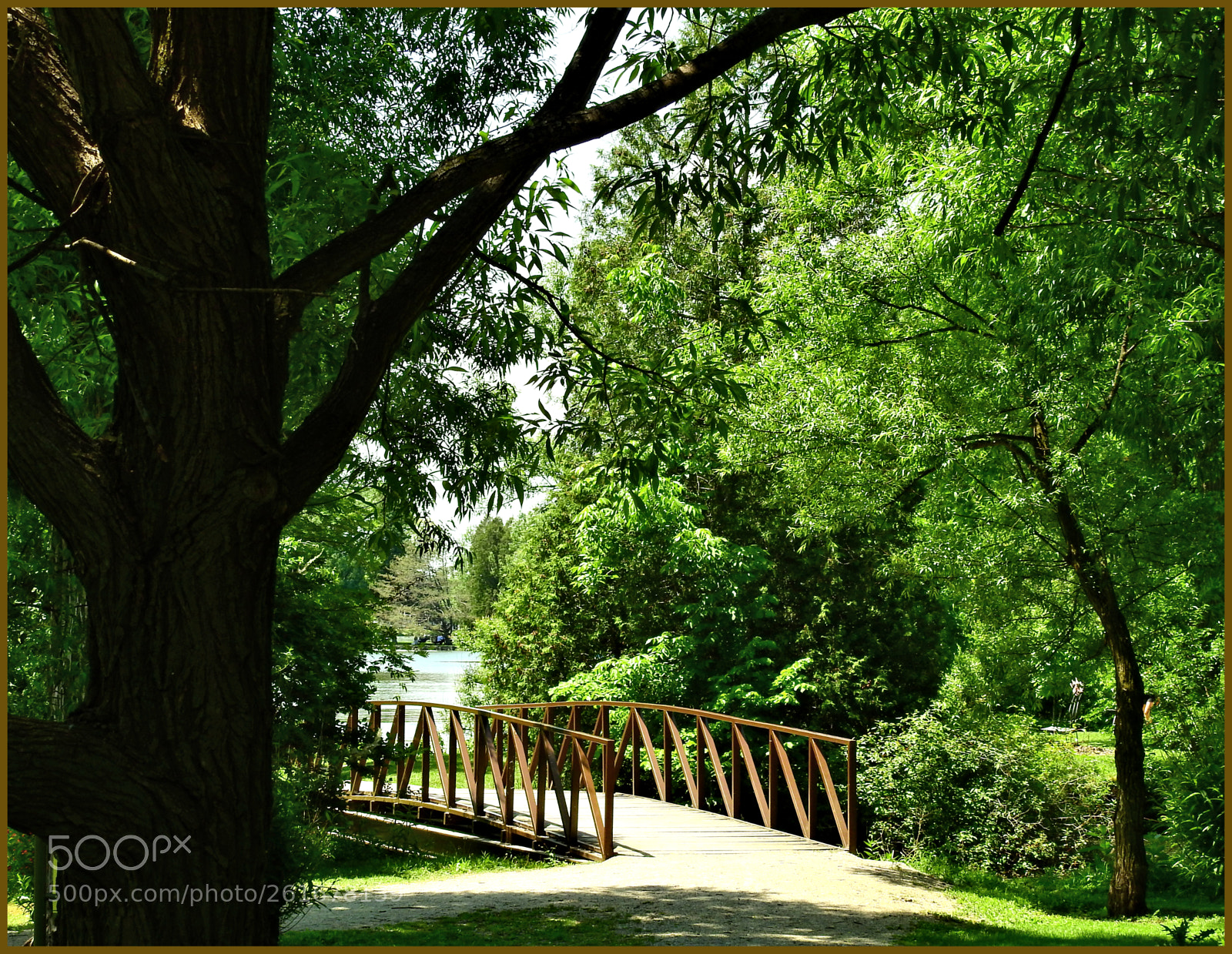 Nikon Coolpix P900 sample photo. Wooden bridge photography