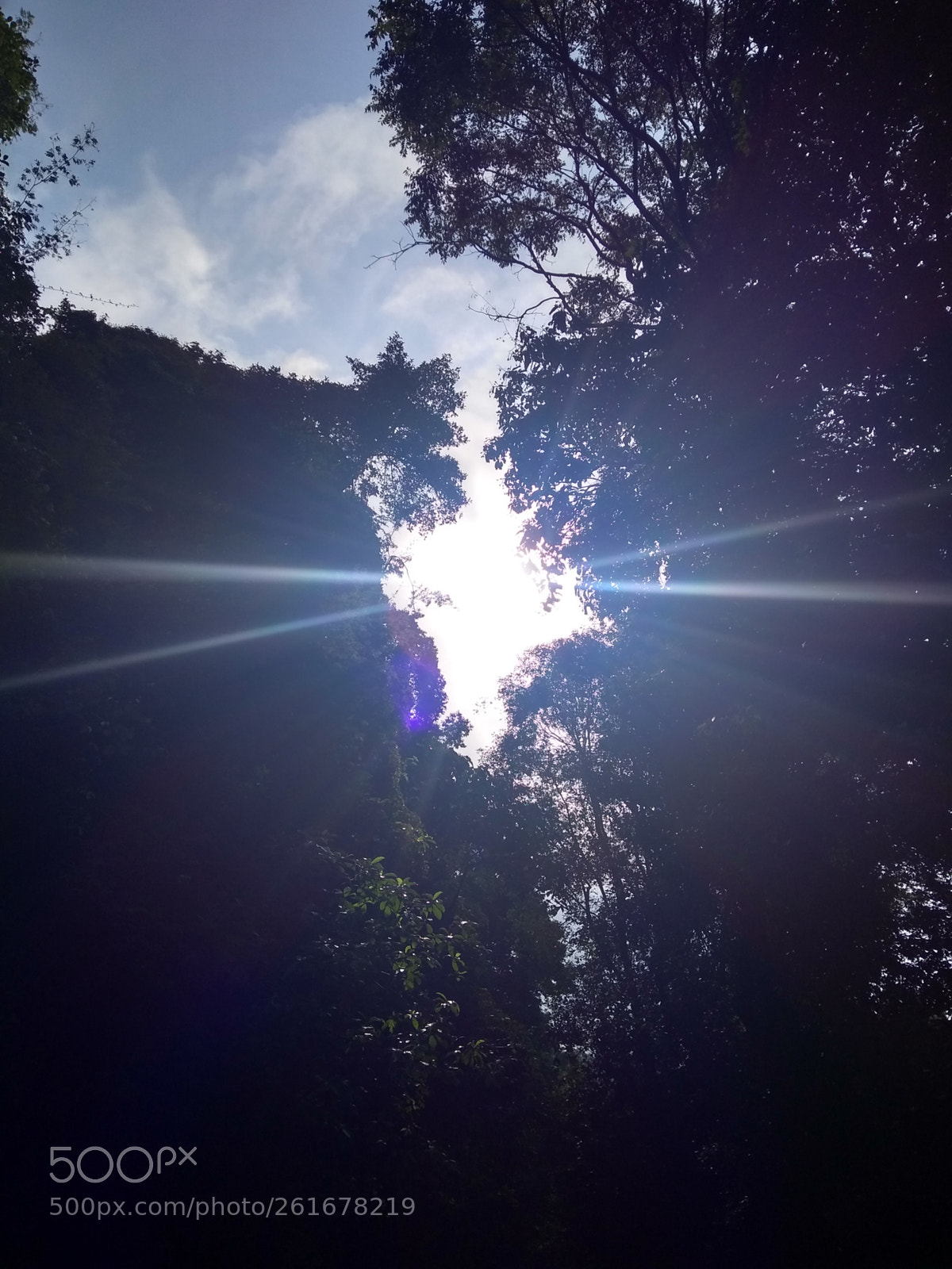 Motorola Moto G (5S) Plus sample photo. Ray's.... which can't stop photography