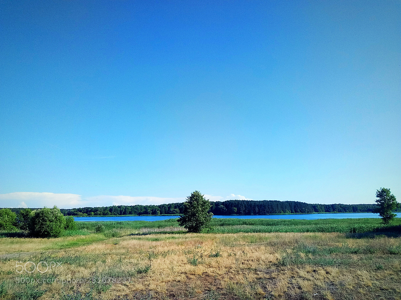 Meizu U20 sample photo. Untitled photography