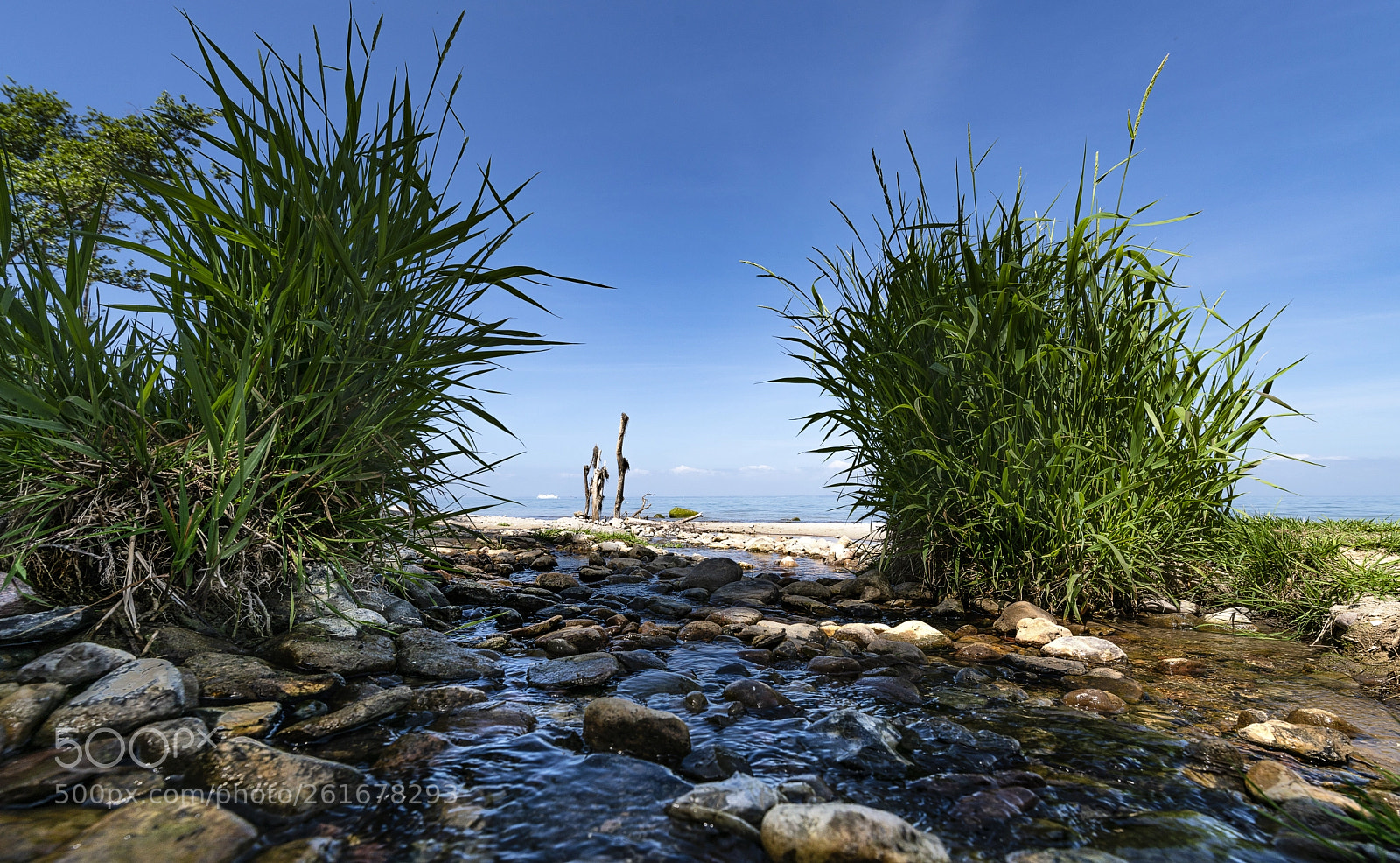 Sony a7R II sample photo. Creek photography